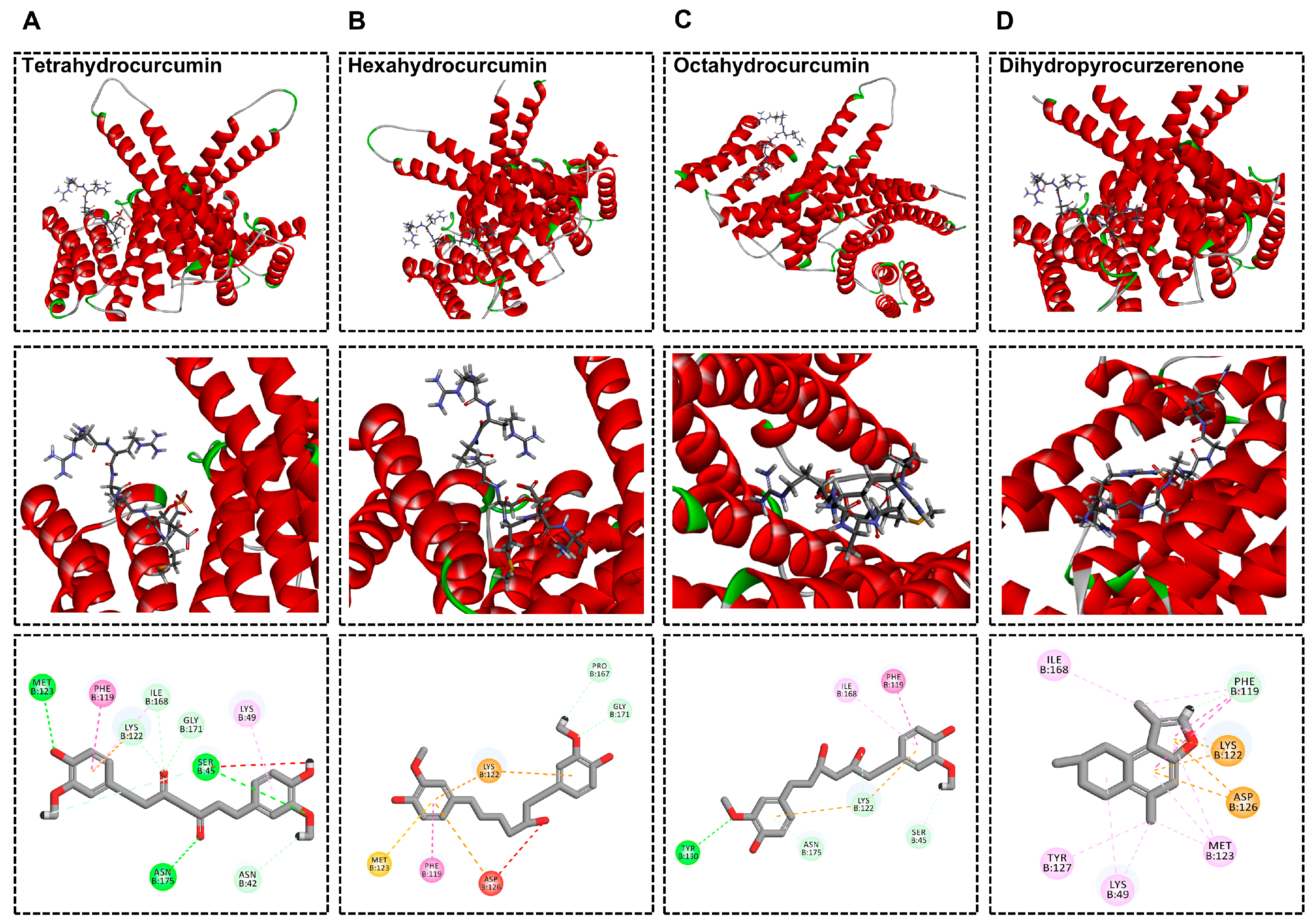 Molecules 30 01668 g006