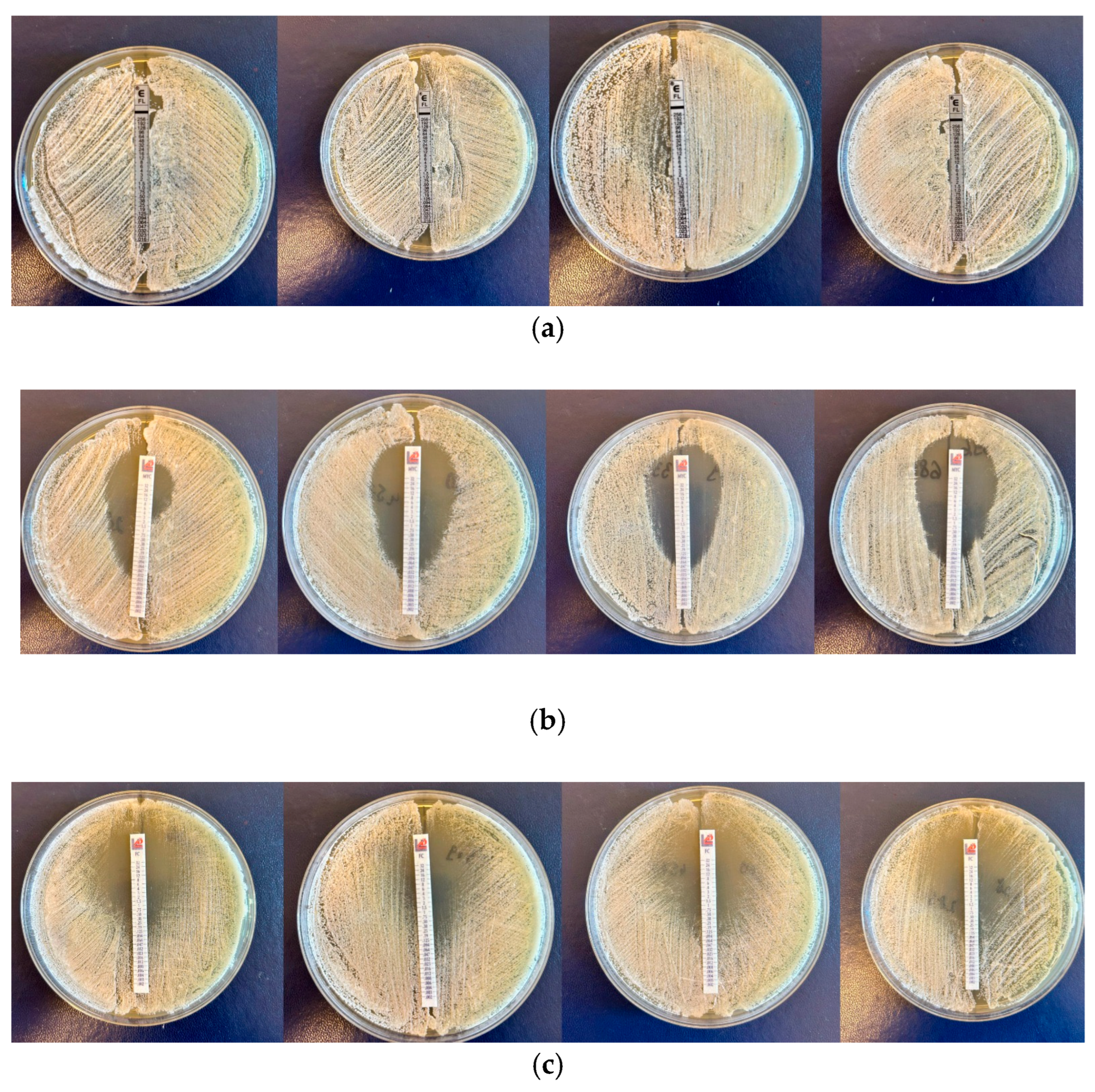 Molecules 30 01675 g001a