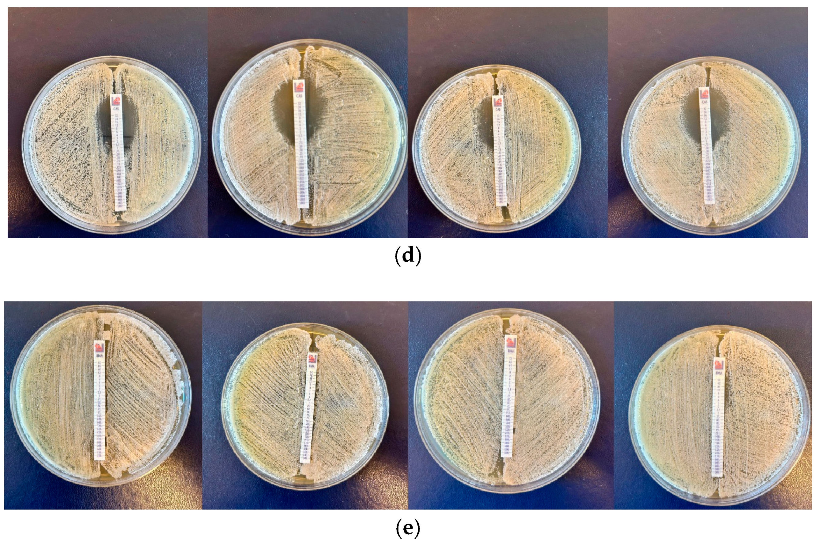 Molecules 30 01675 g001b