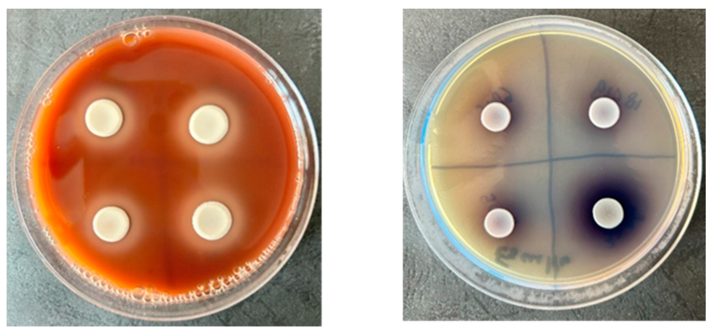 Molecules 30 01675 g002