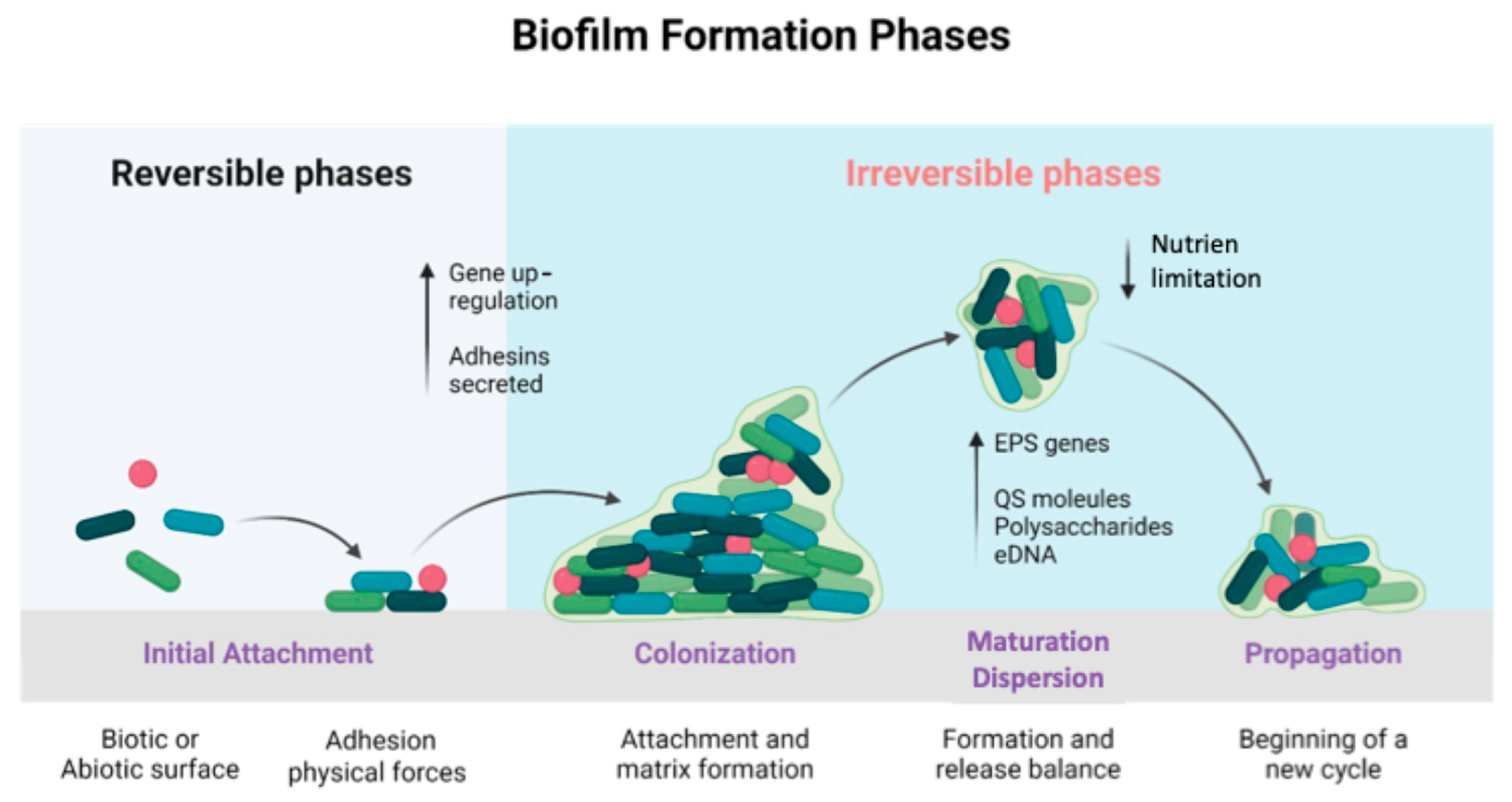 Molecules 30 01682 g001