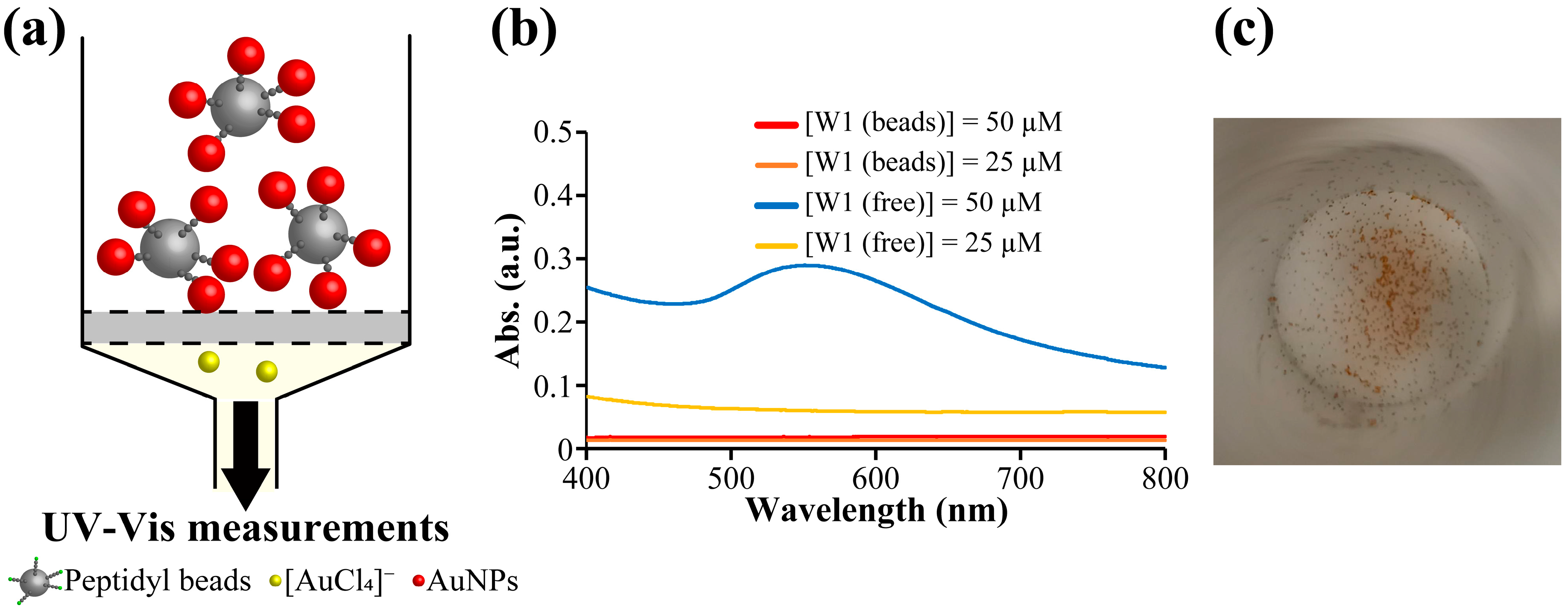 Molecules 30 01689 g002