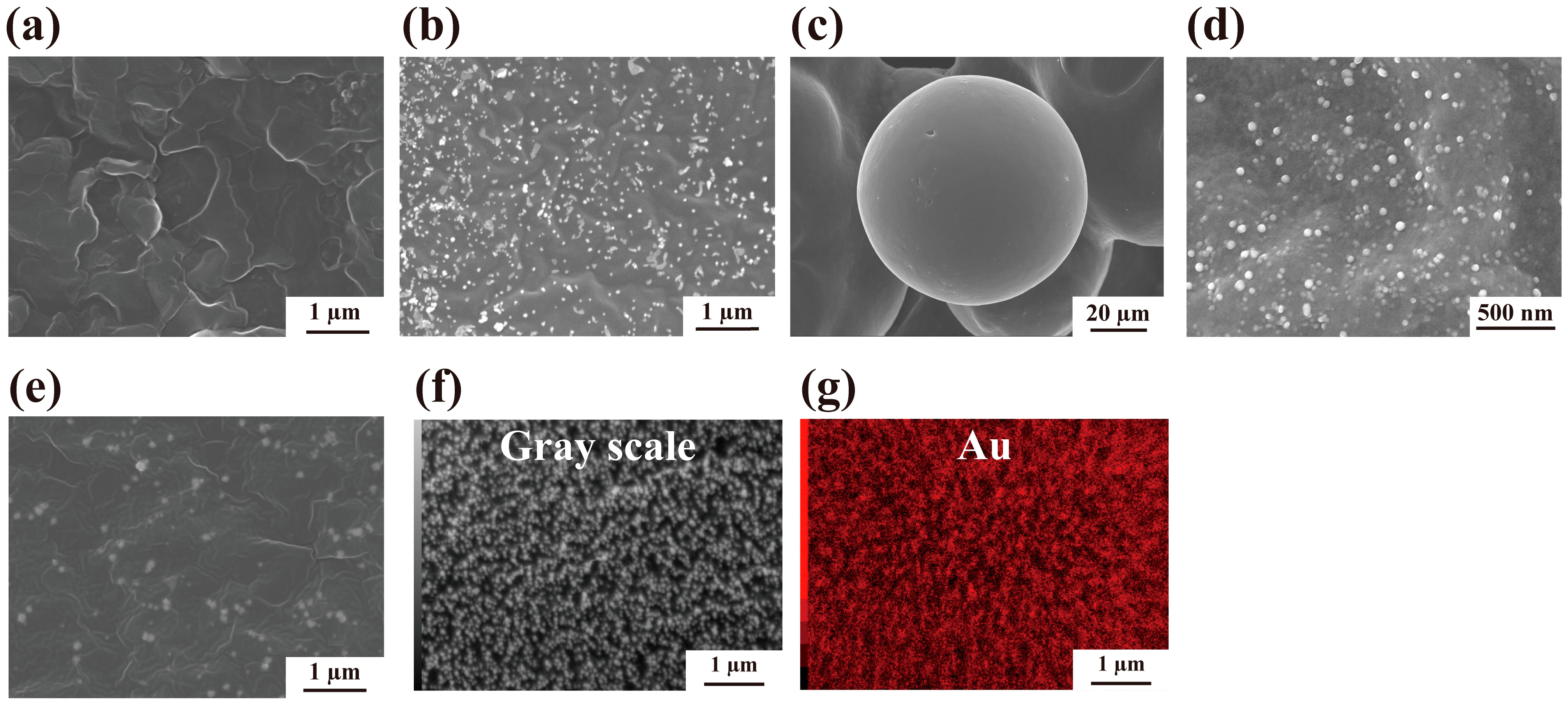 Molecules 30 01689 g003