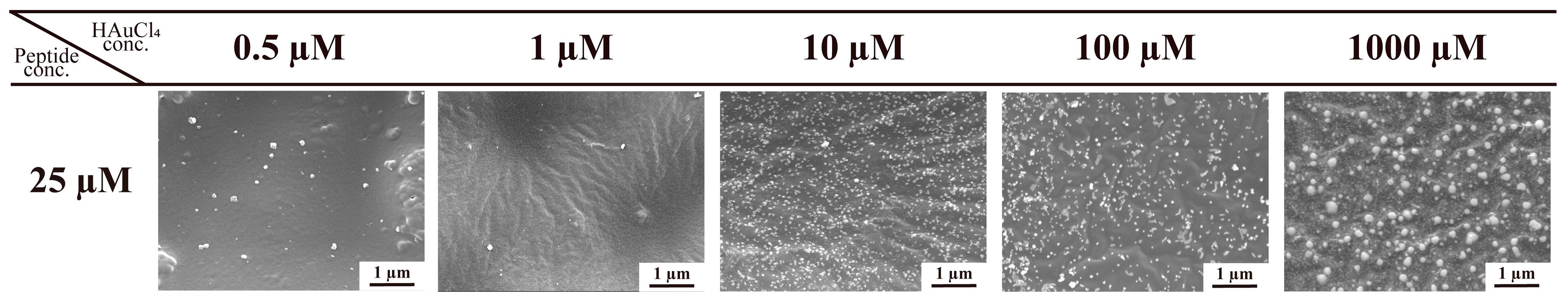 Molecules 30 01689 g004
