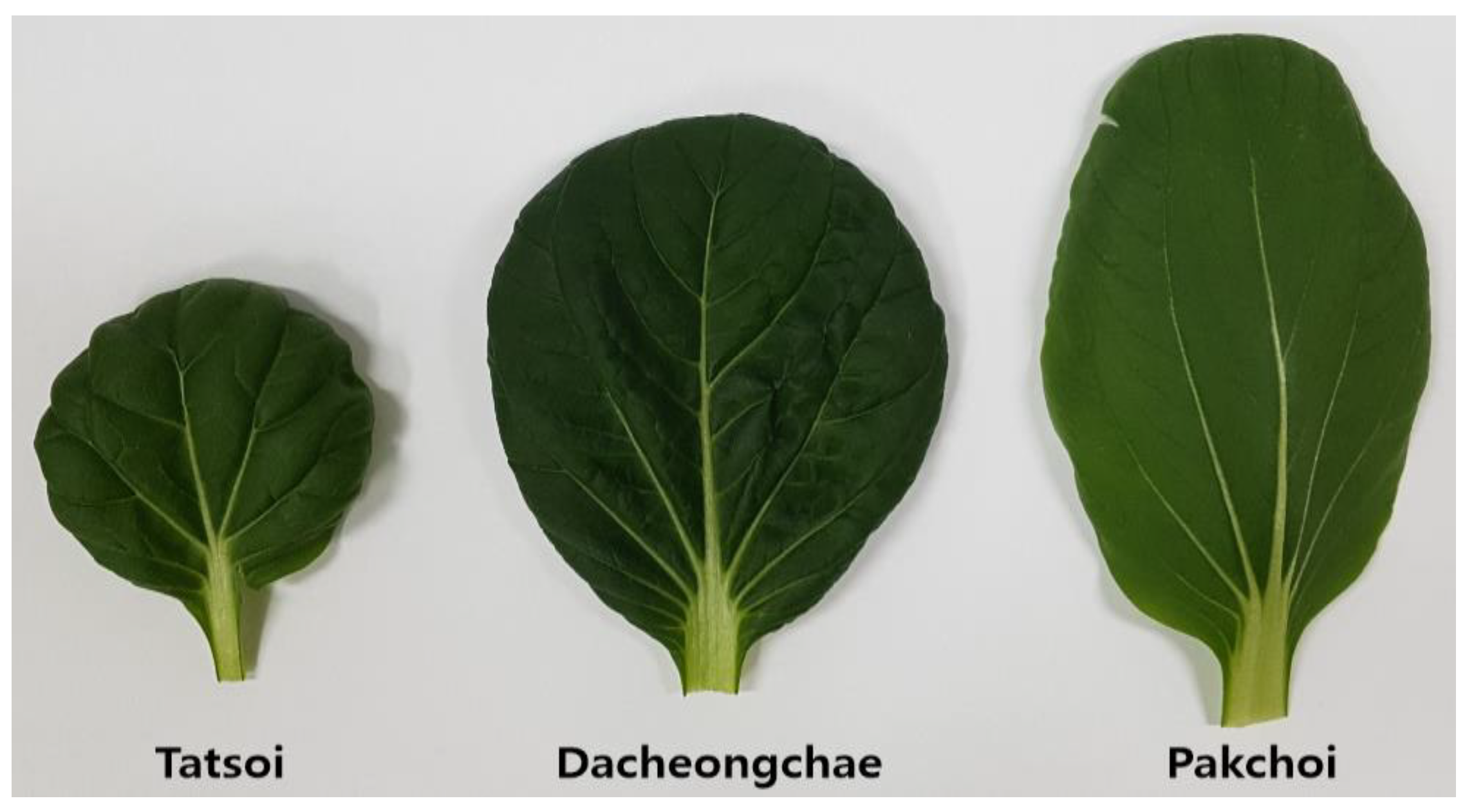 Molecules 30 01693 g001