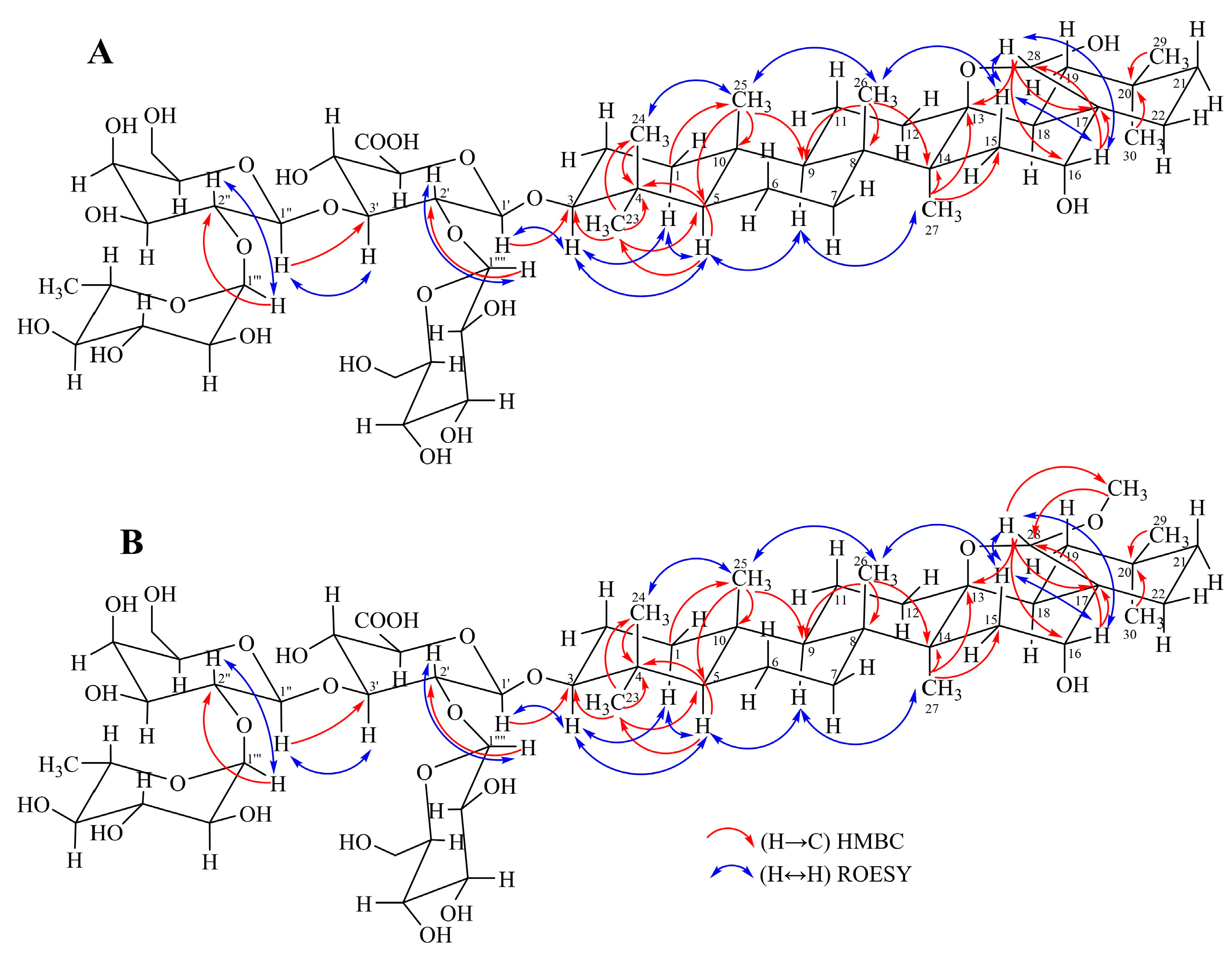 Molecules 30 01702 g002 Molecules 30 01702 g002