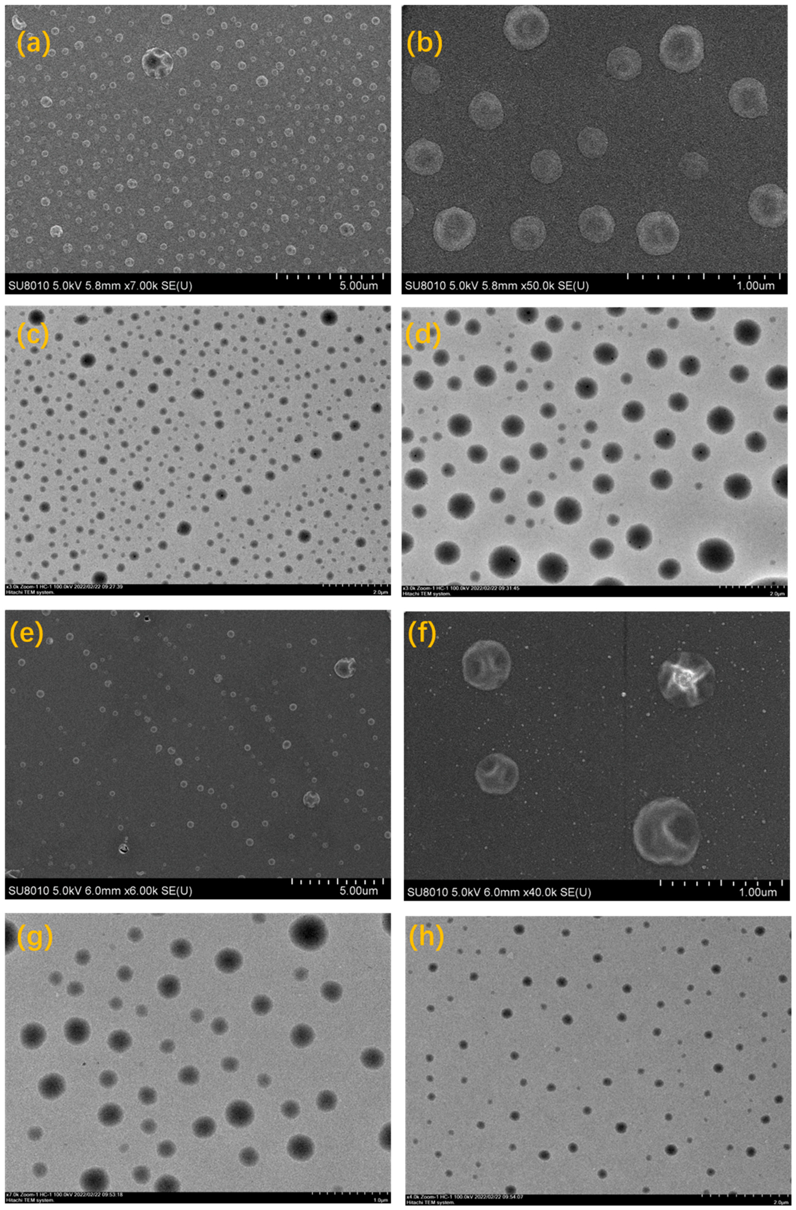 Molecules 30 01719 g004