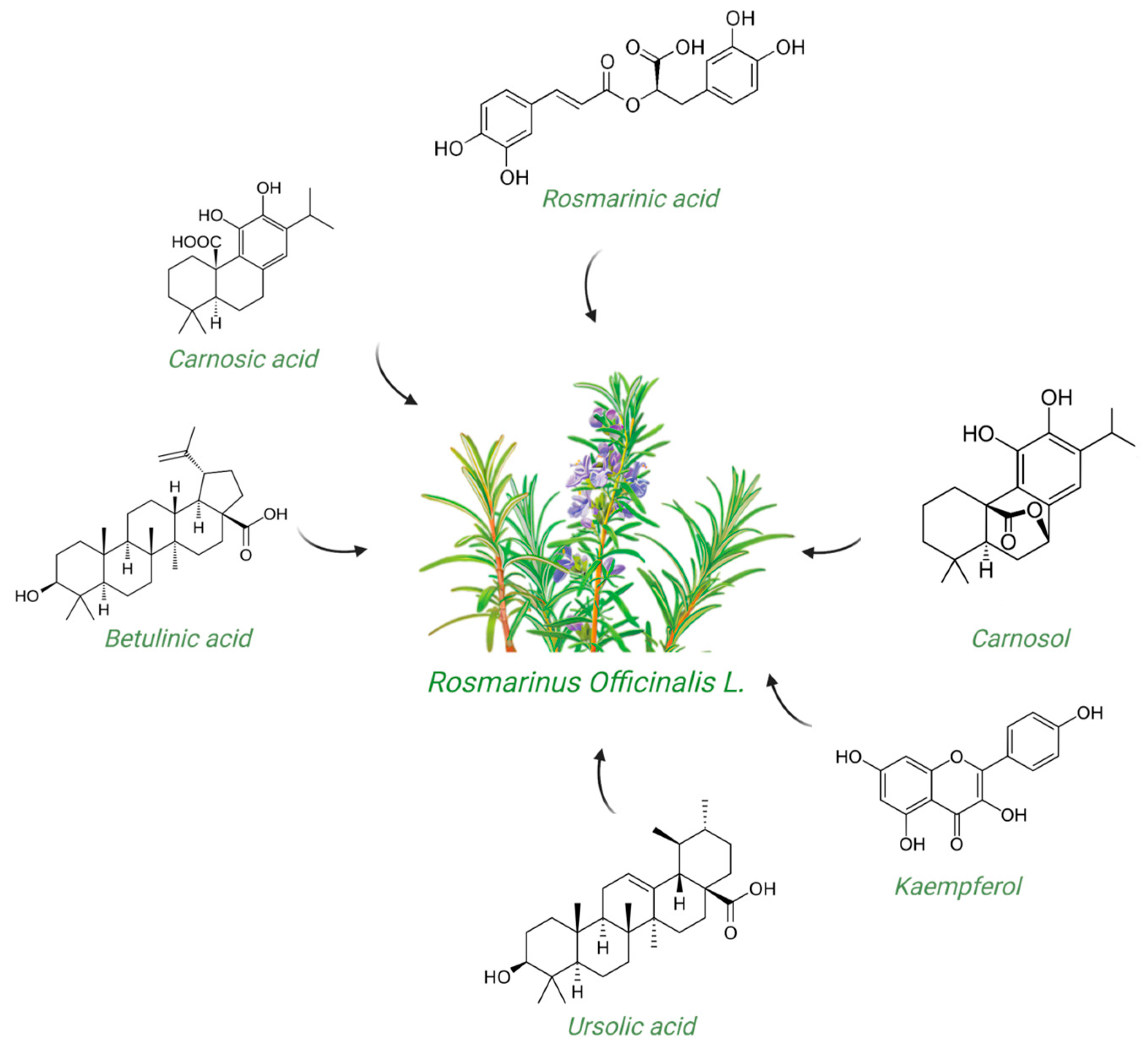 Molecules 30 01733 g001