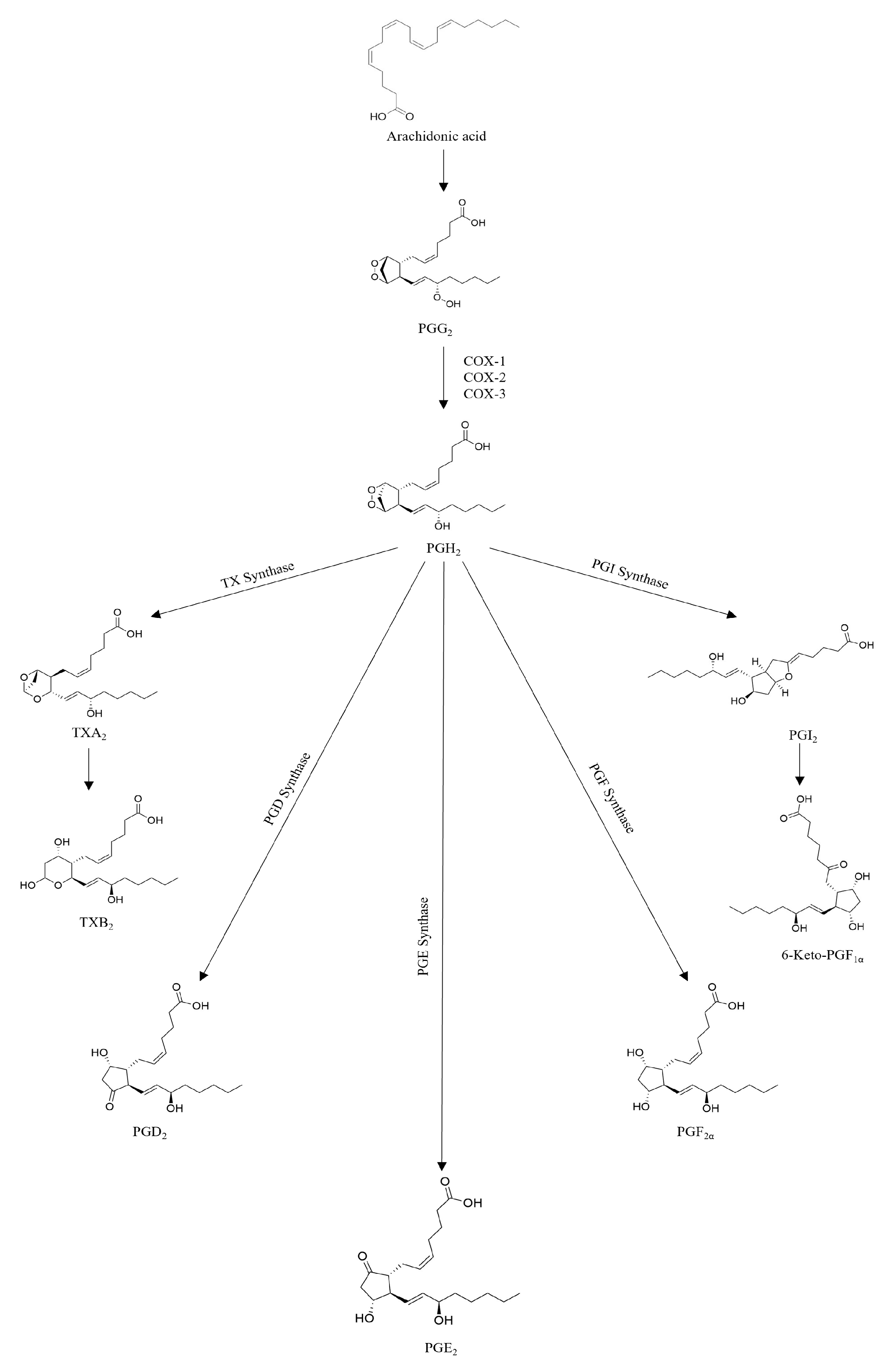 Molecules 30 01733 g004