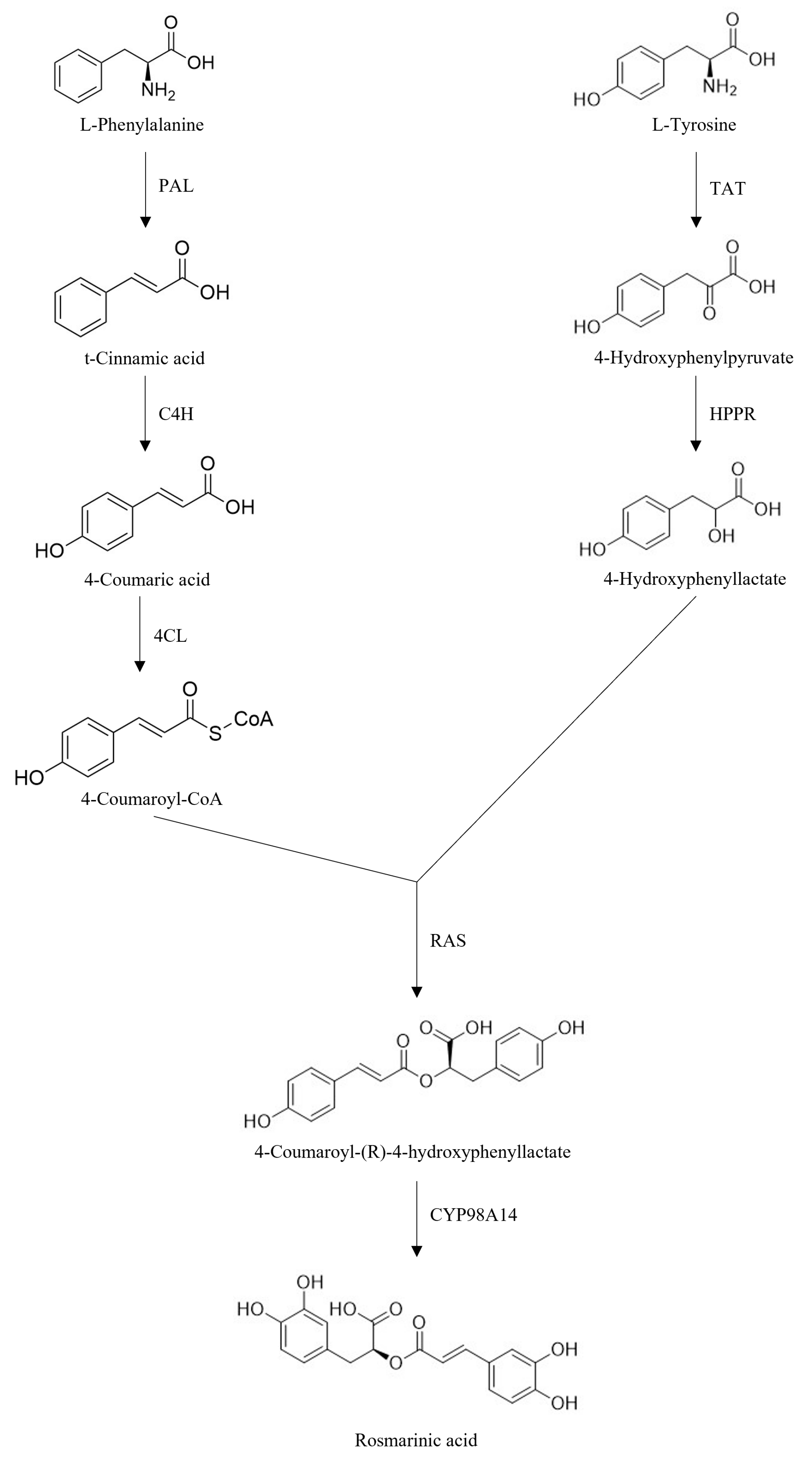 Molecules 30 01733 g006