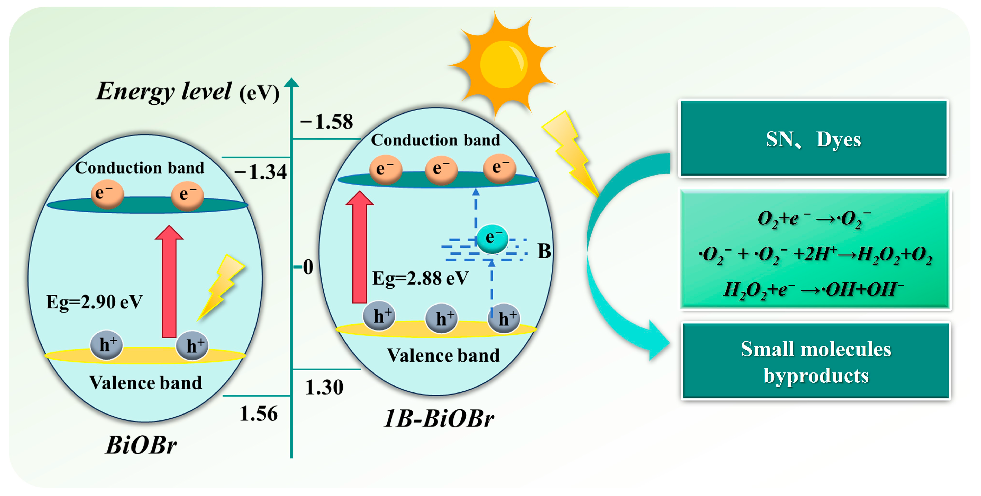 Molecules 30 01735 g010