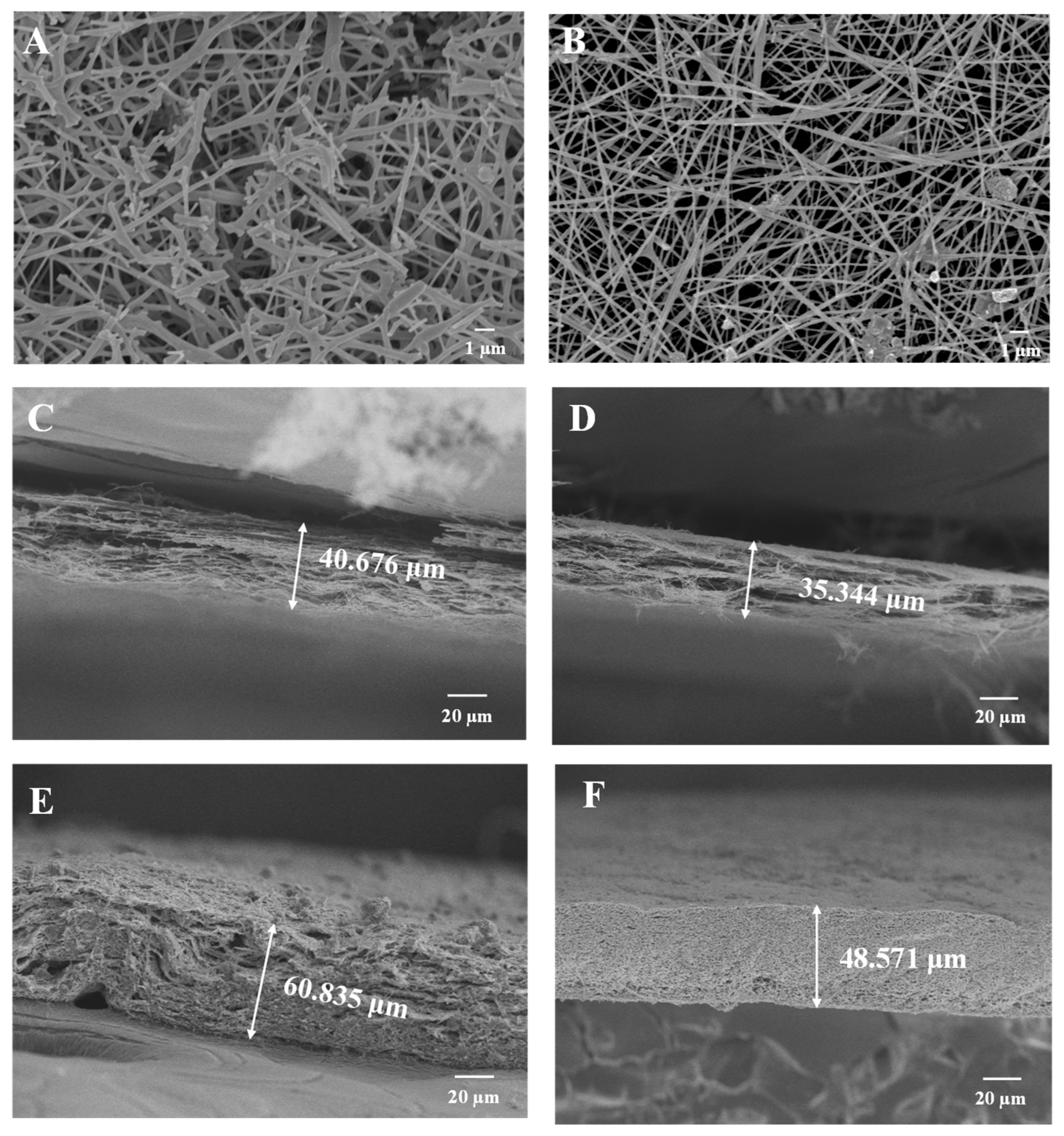 Molecules 30 01740 g009 Molecules 30 01740 g009