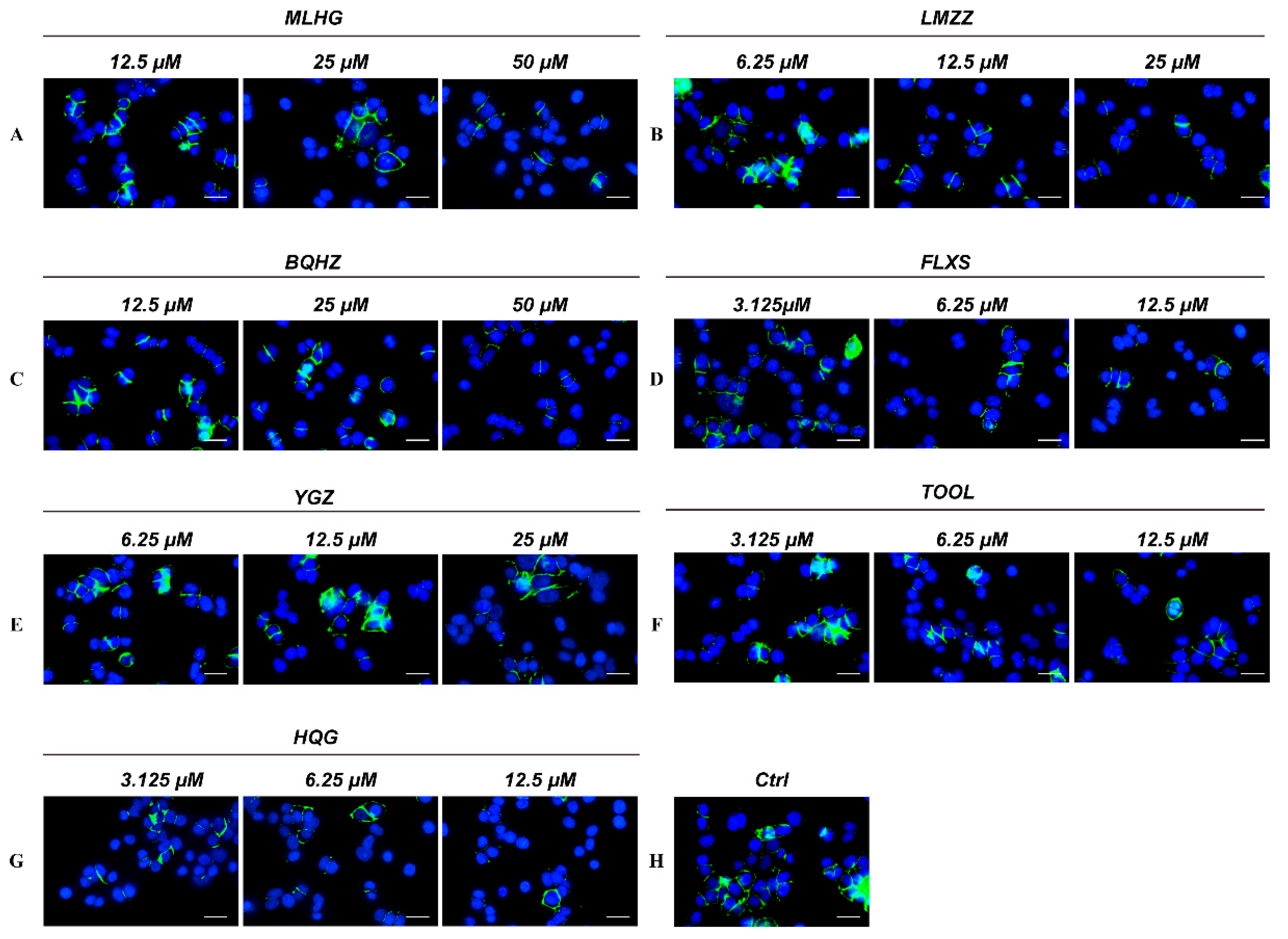 Molecules 30 01754 g005 Molecules 30 01754 g005
