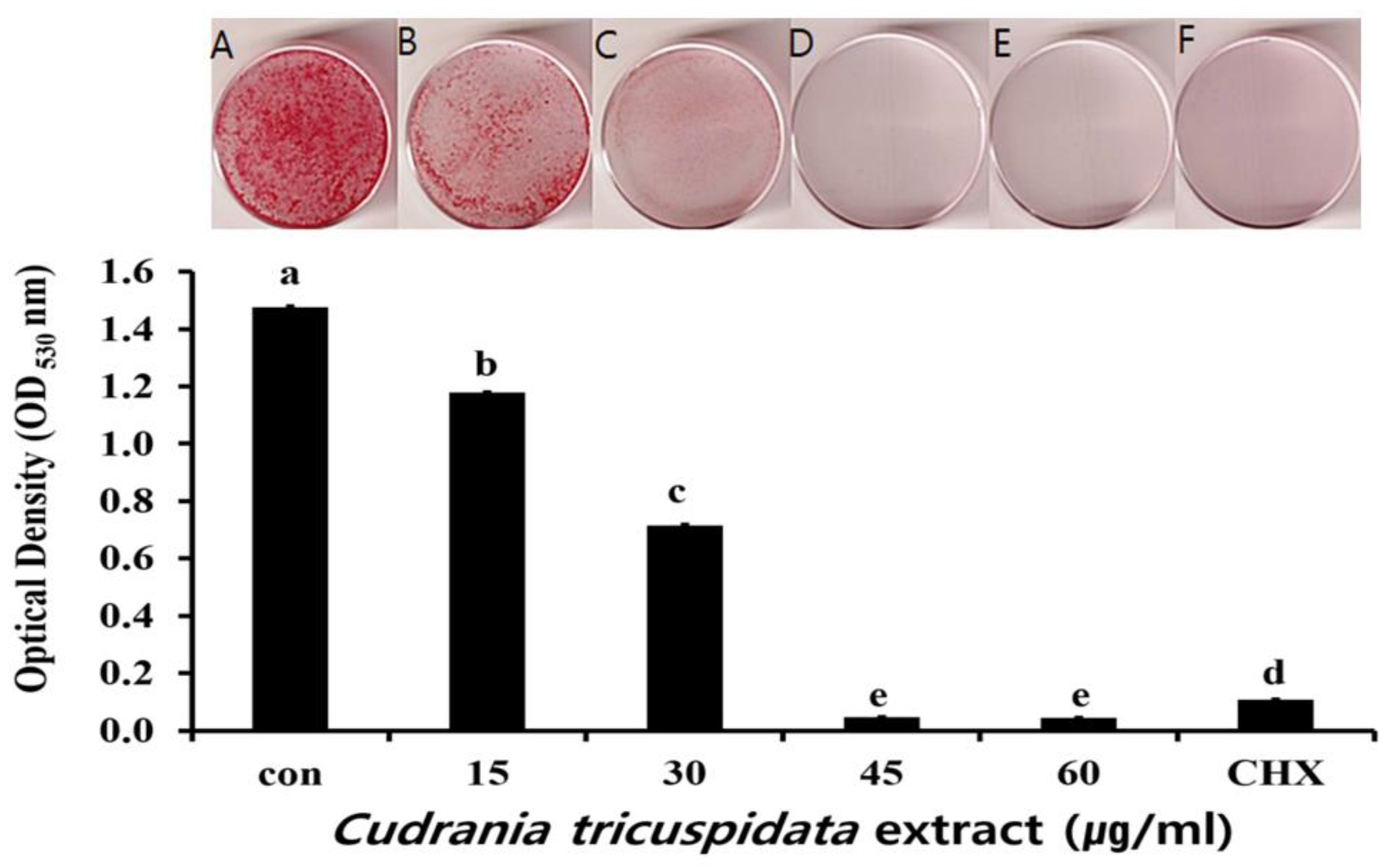 Molecules 30 01755 g003 Molecules 30 01755 g003