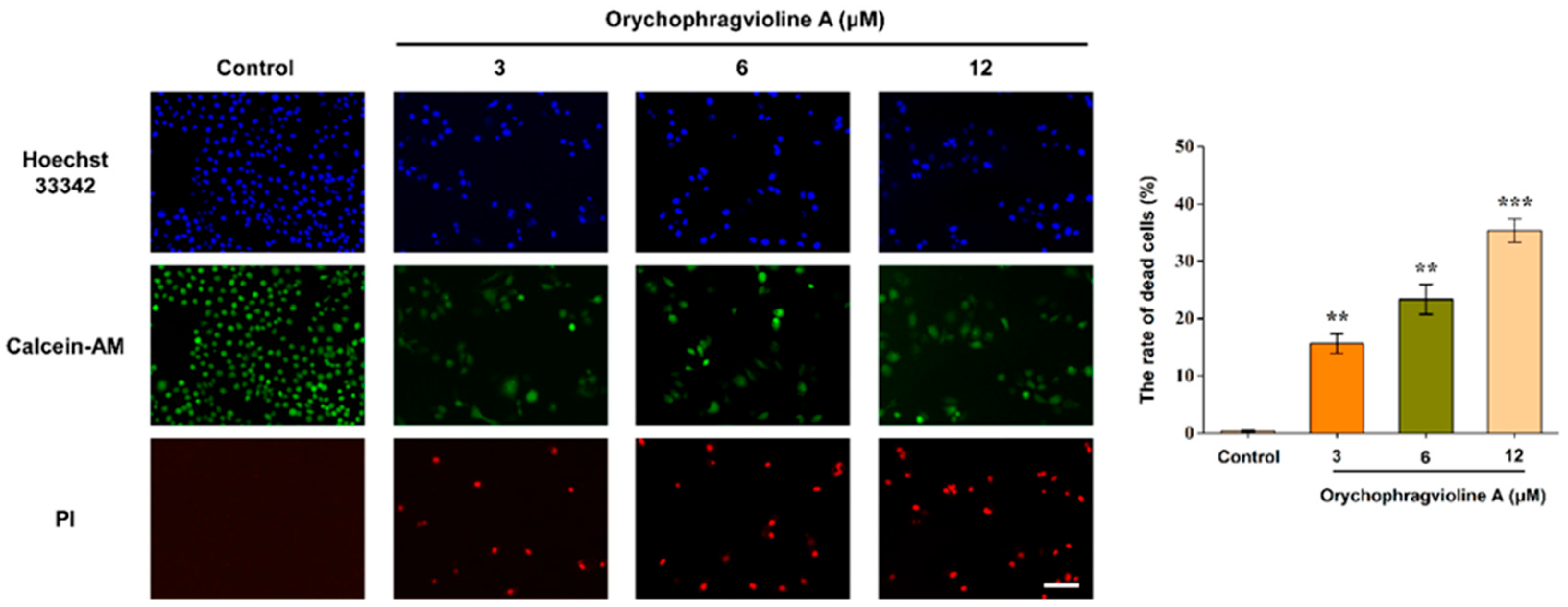 Molecules 30 01759 g004