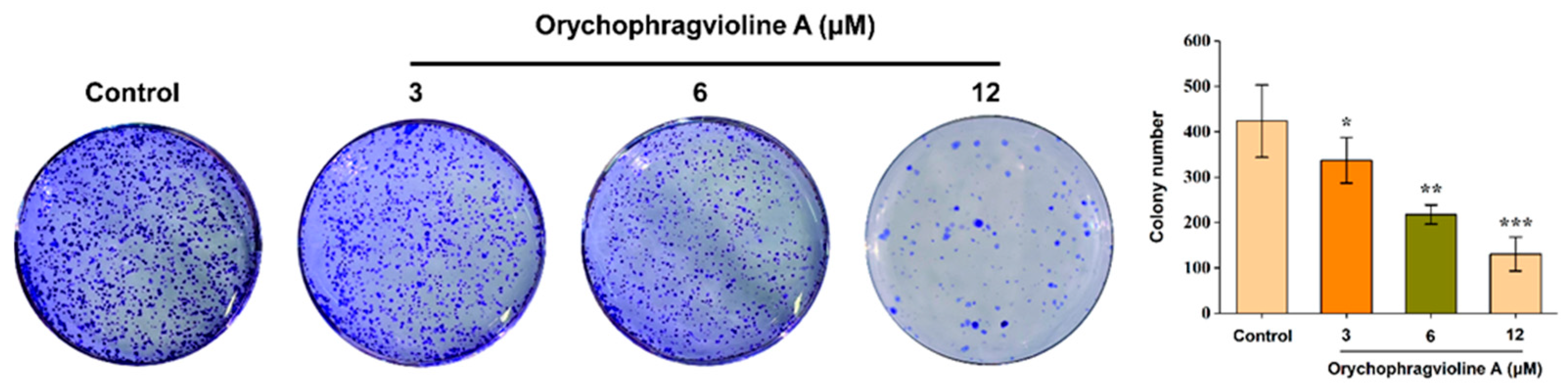 Molecules 30 01759 g006