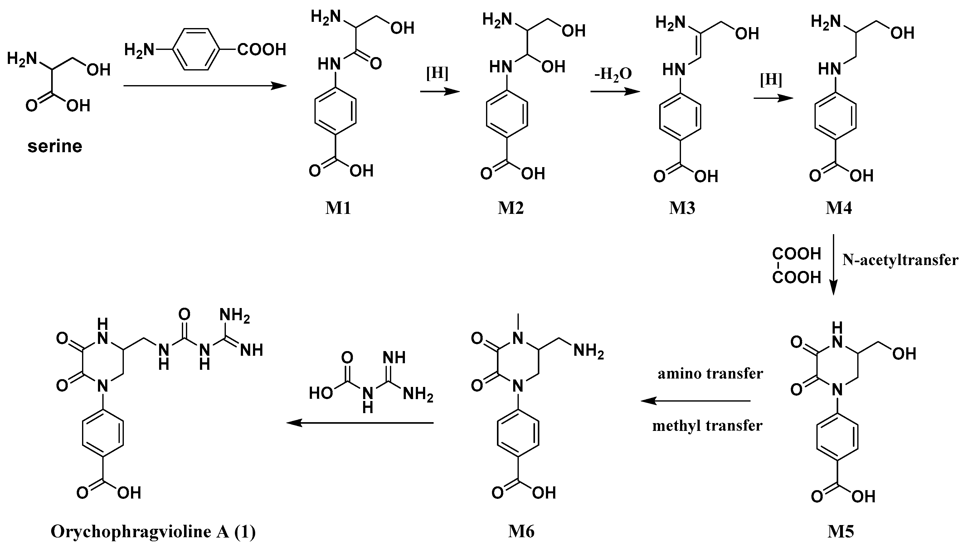 Molecules 30 01759 sch001