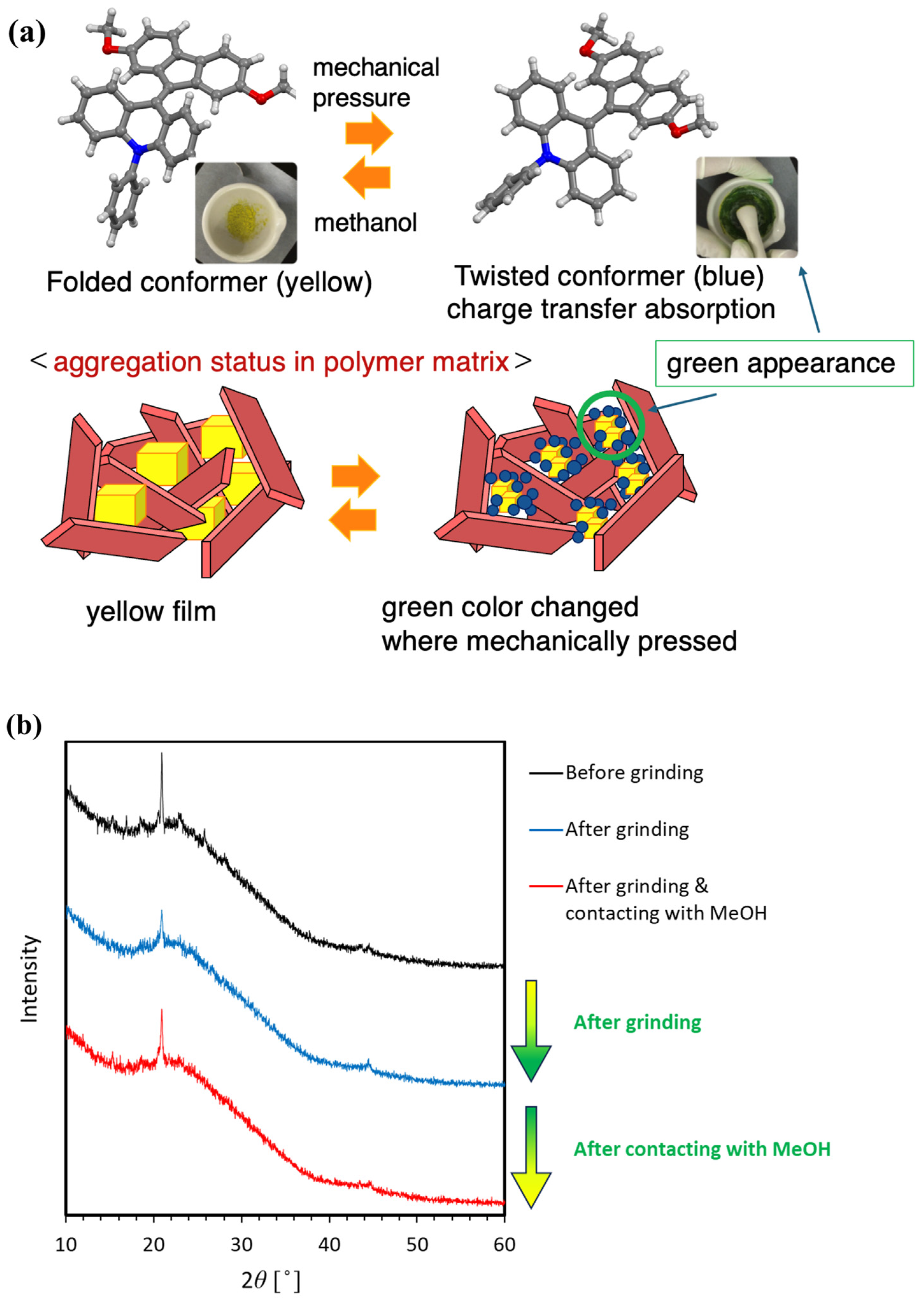Molecules 30 01761 g001