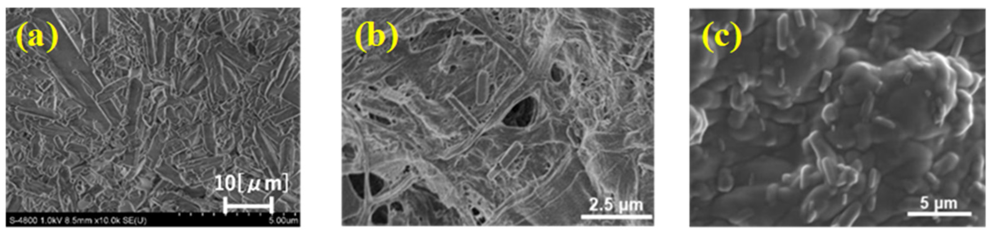 Molecules 30 01761 g005