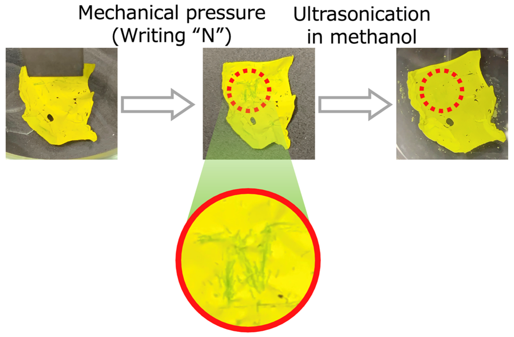 Molecules 30 01761 g006