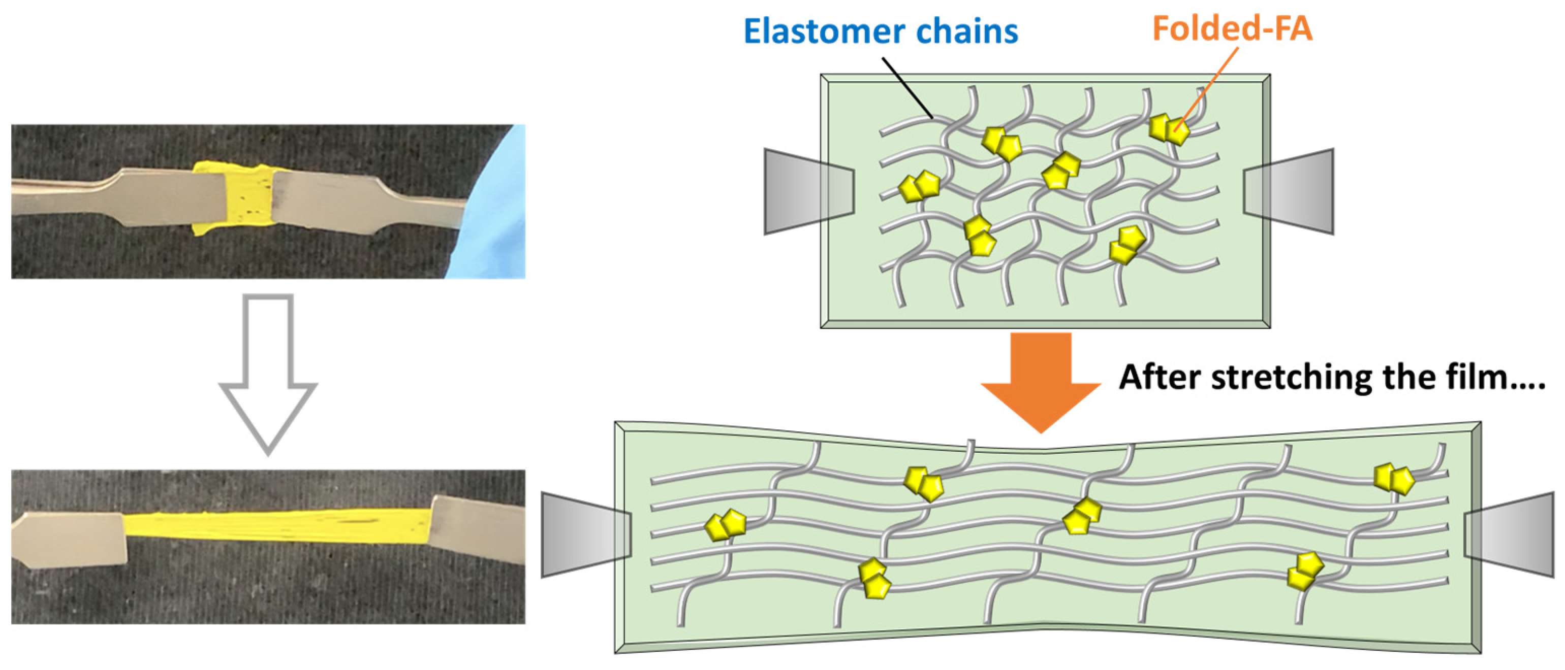 Molecules 30 01761 g007