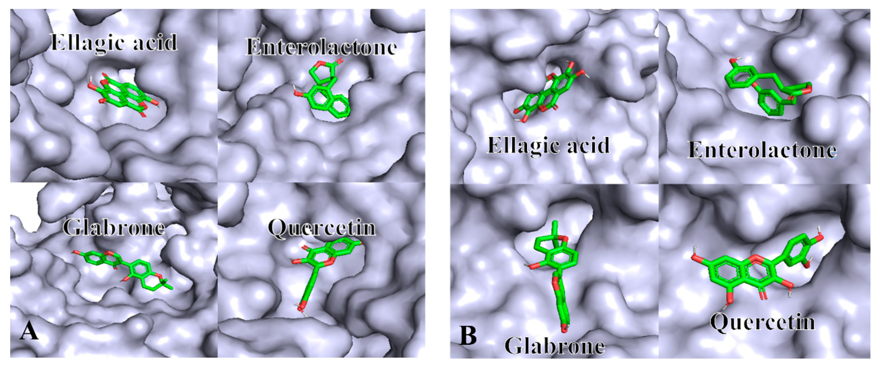 Molecules 30 01762 g005