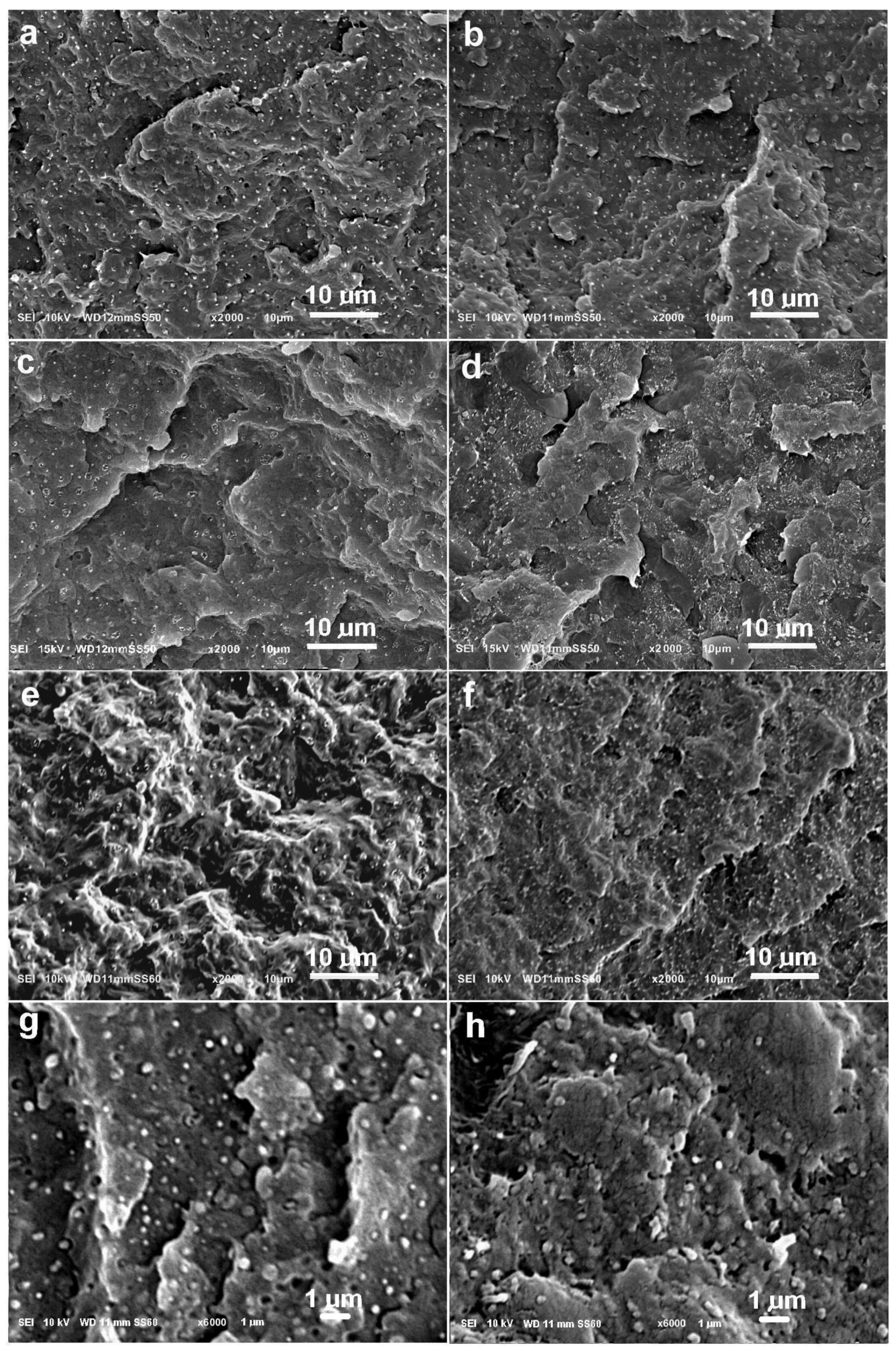Molecules 30 01786 g001 Molecules 30 01786 g001