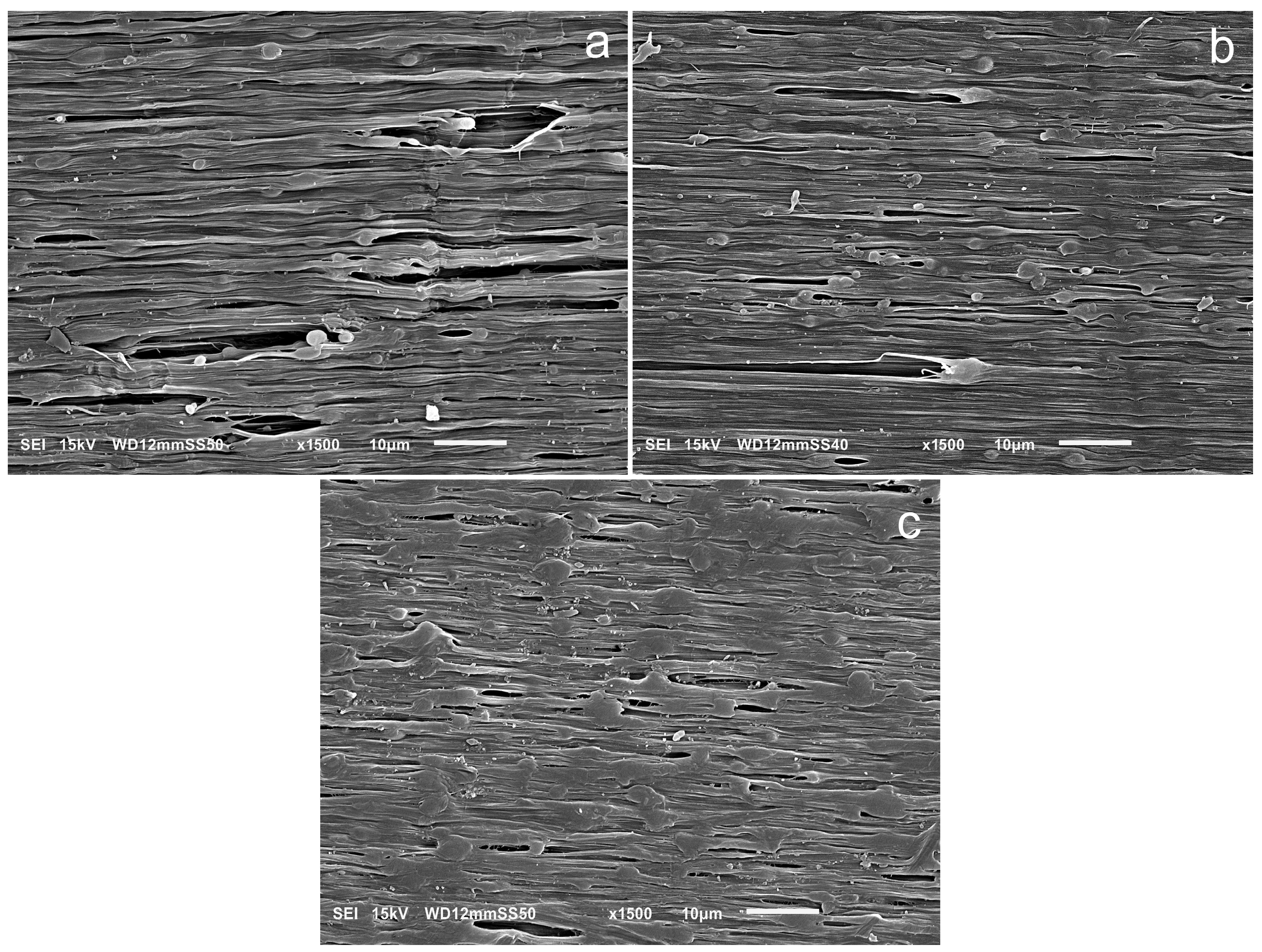Molecules 30 01786 g010 Molecules 30 01786 g010