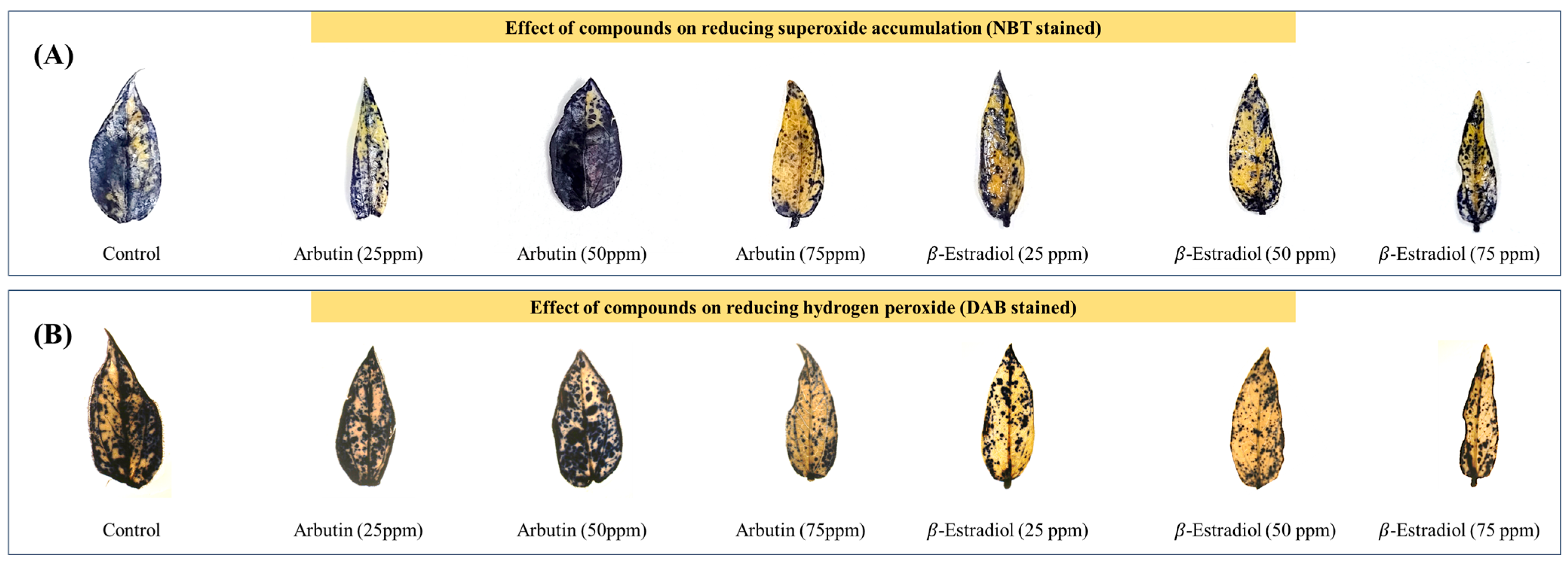 Molecules 30 01787 g006