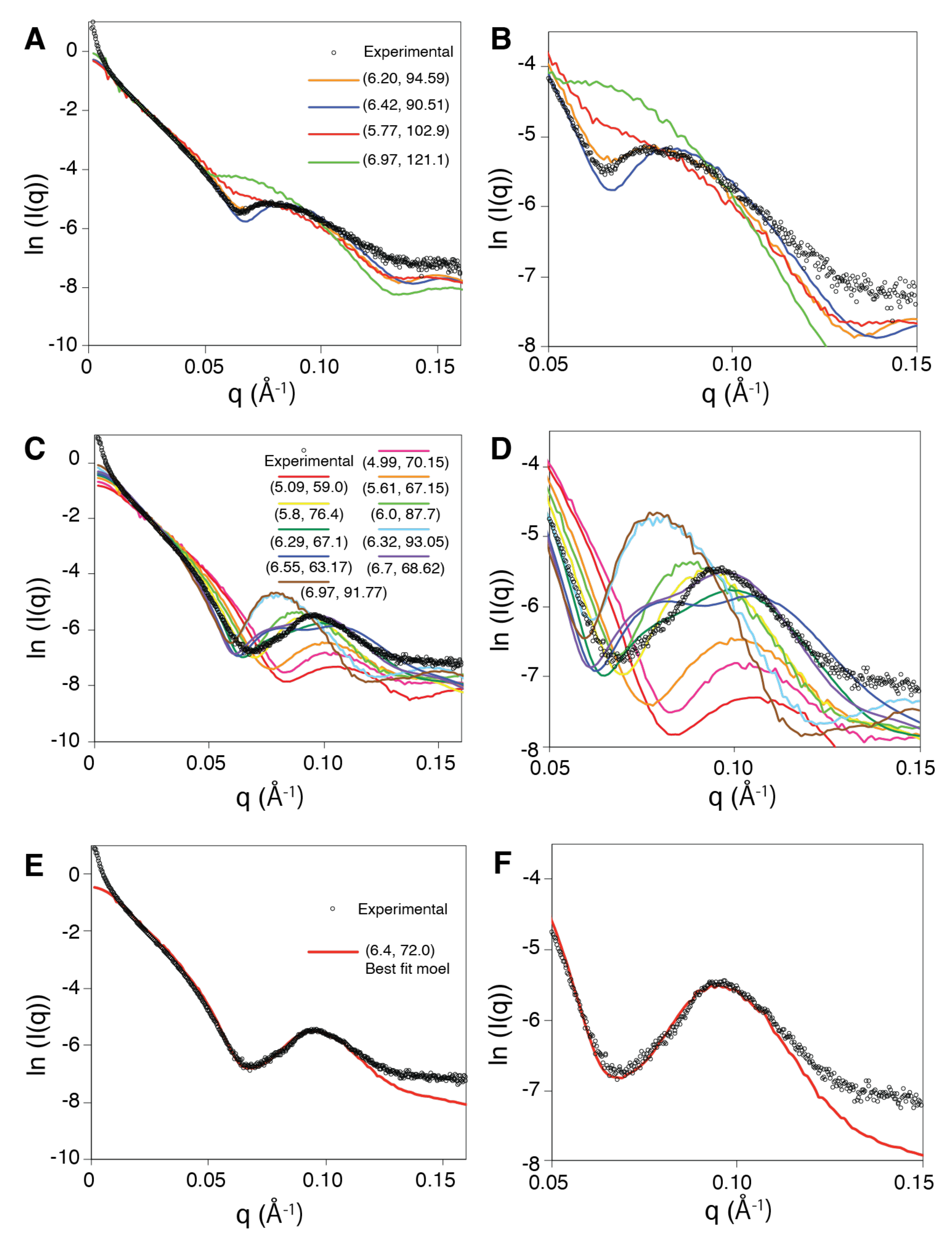 Molecules 30 01793 g002 Molecules 30 01793 g002