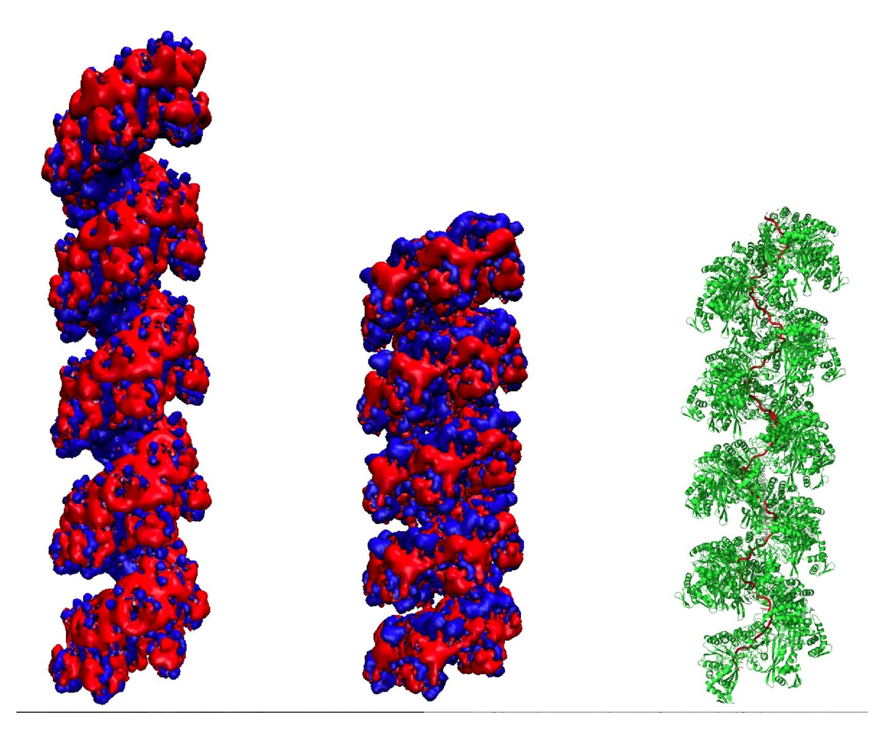 Molecules 30 01793 g004 Molecules 30 01793 g004