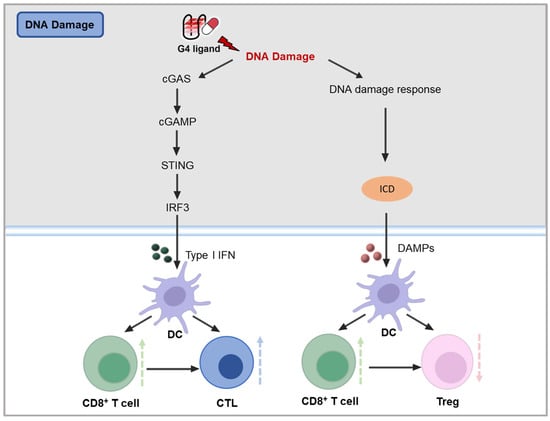 Molecules 30 01805 g004