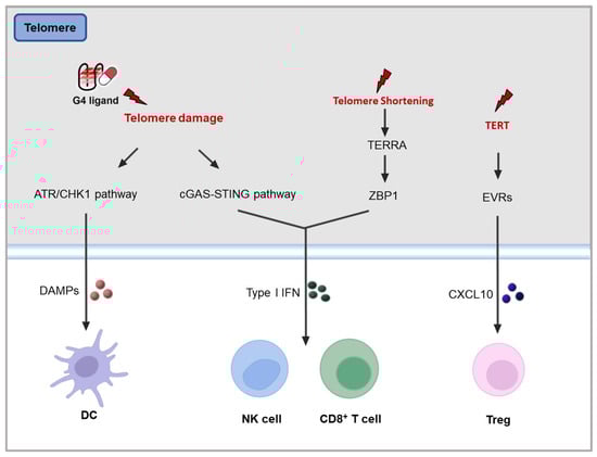 Molecules 30 01805 g005