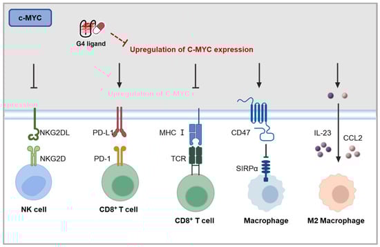 Molecules 30 01805 g006