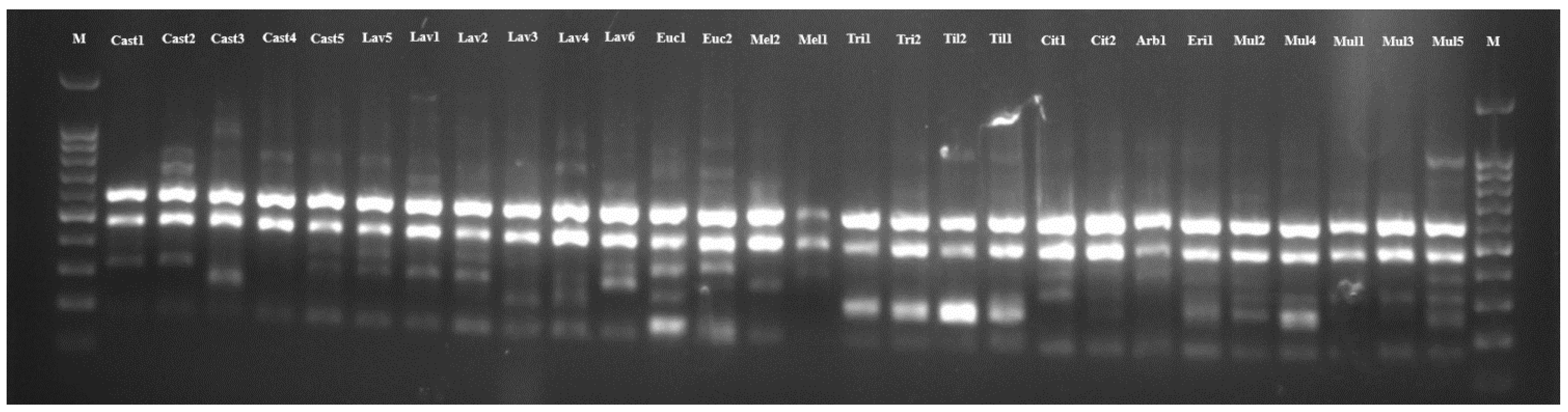 Molecules 30 01808 g001 Molecules 30 01808 g001
