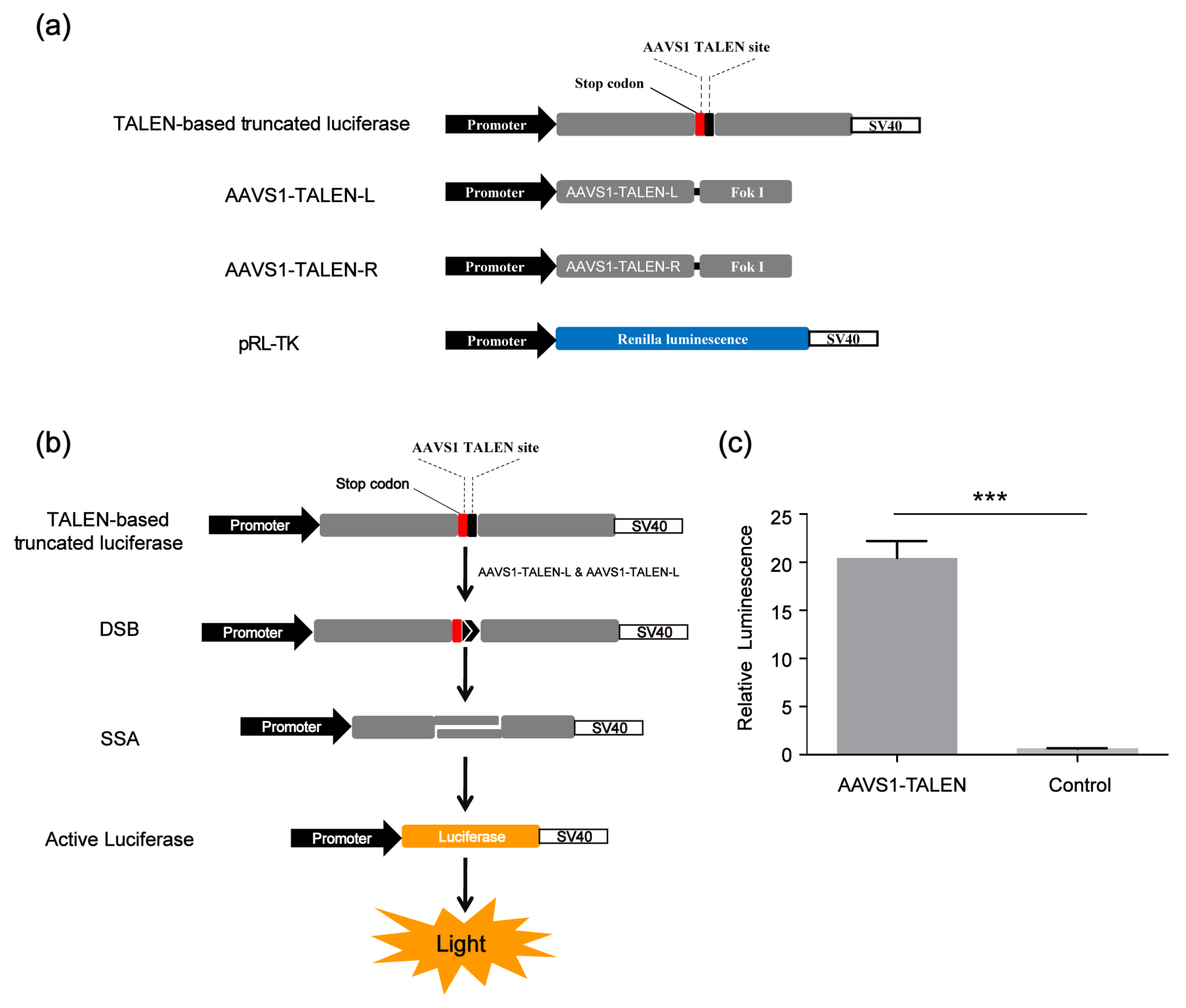 Molecules 30 01811 g004