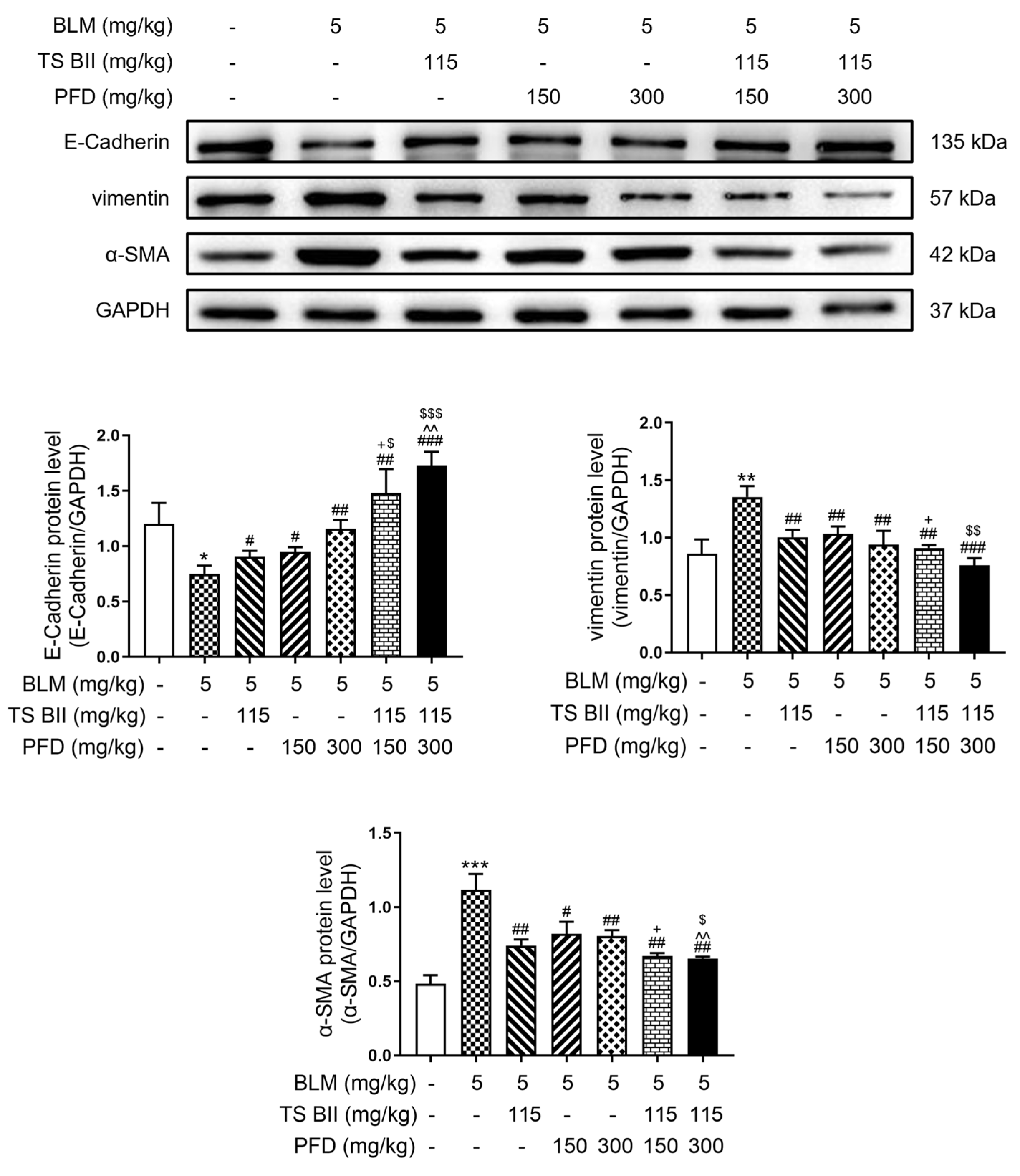 Molecules 30 01821 g006