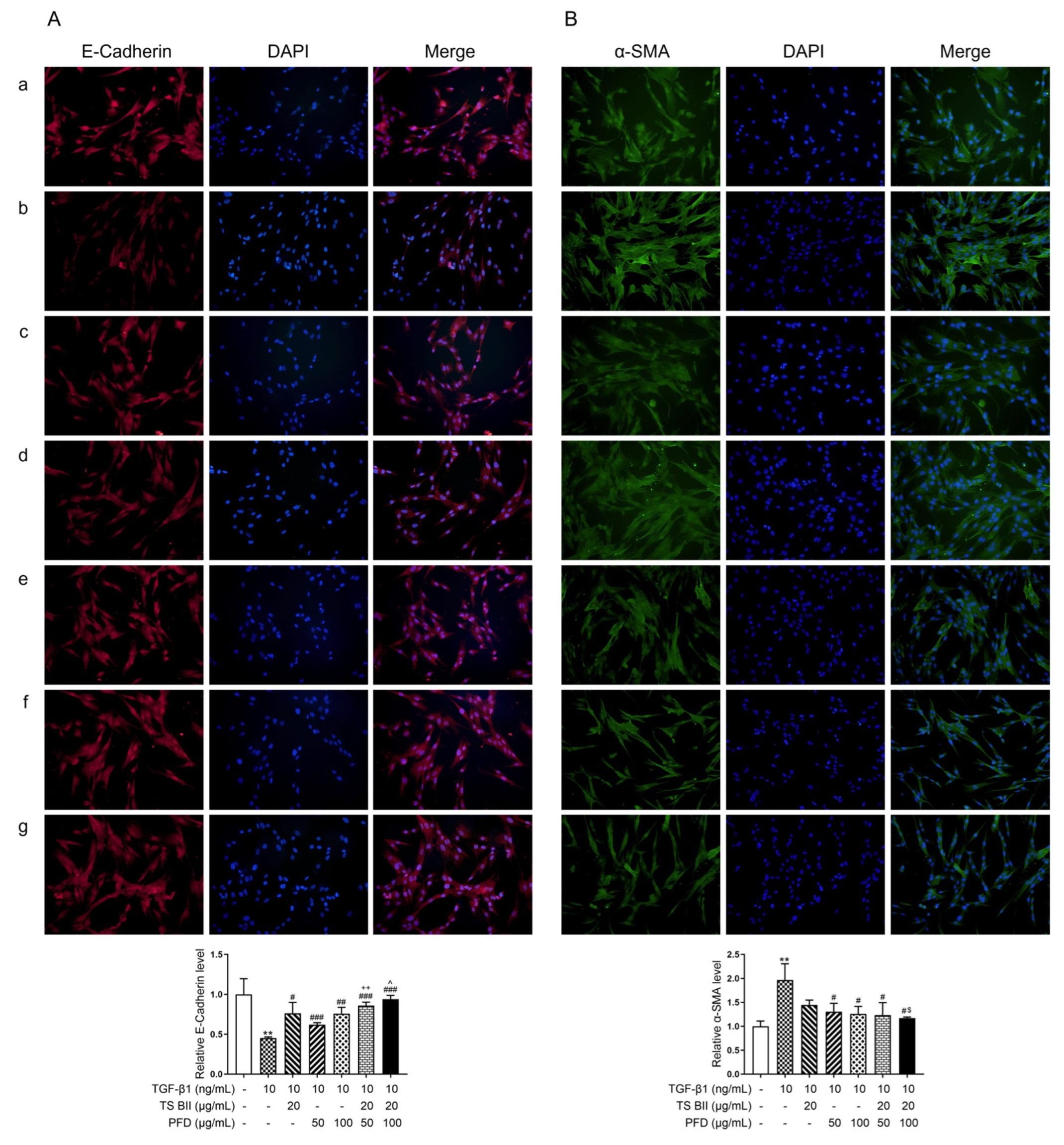 Molecules 30 01821 g008