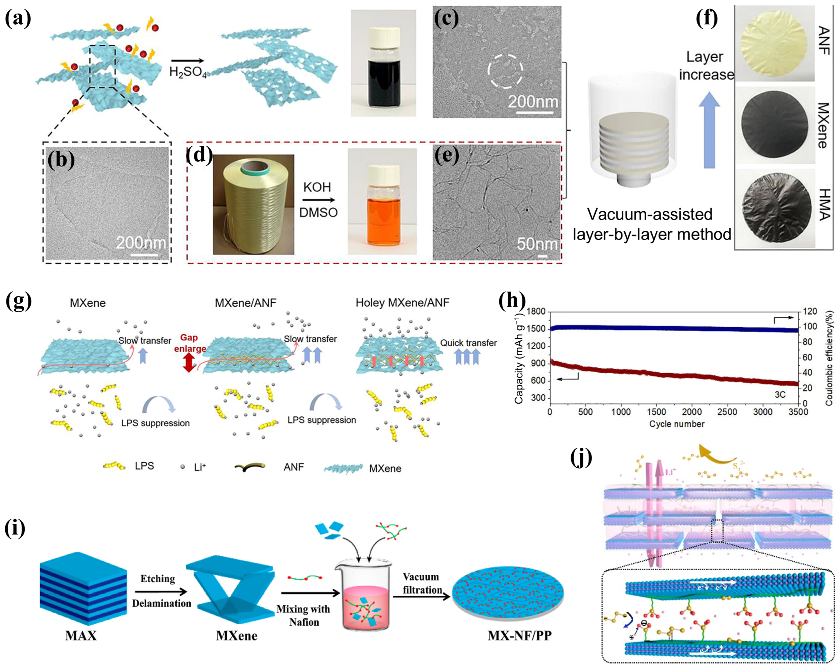 Molecules 30 01833 g007