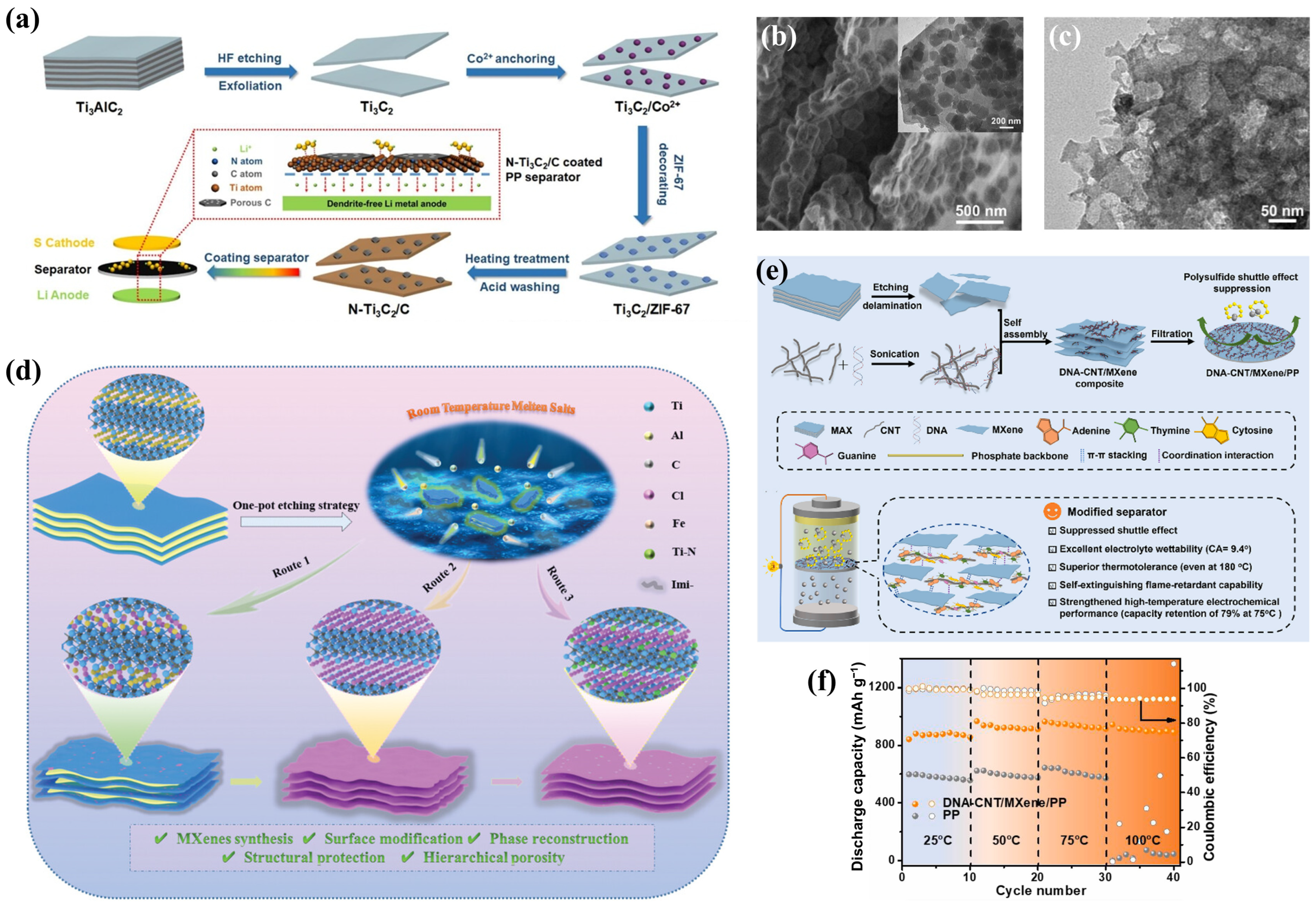Molecules 30 01833 g008