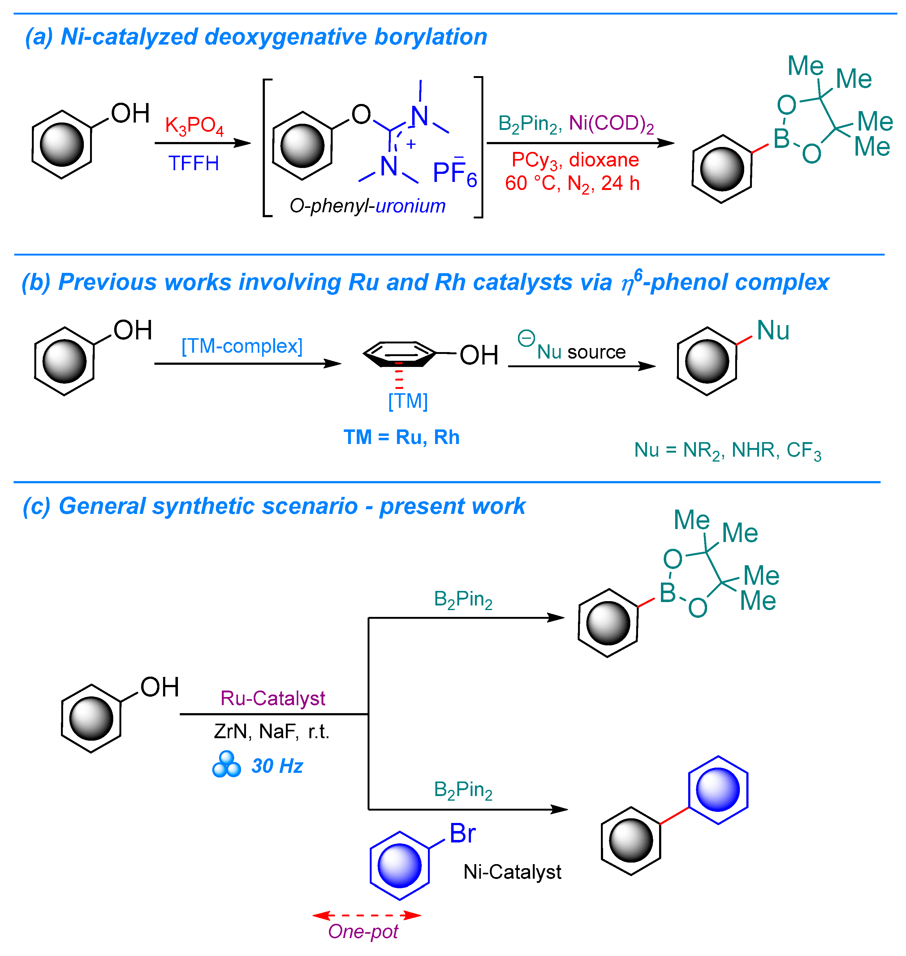 Molecules 30 01835 sch001