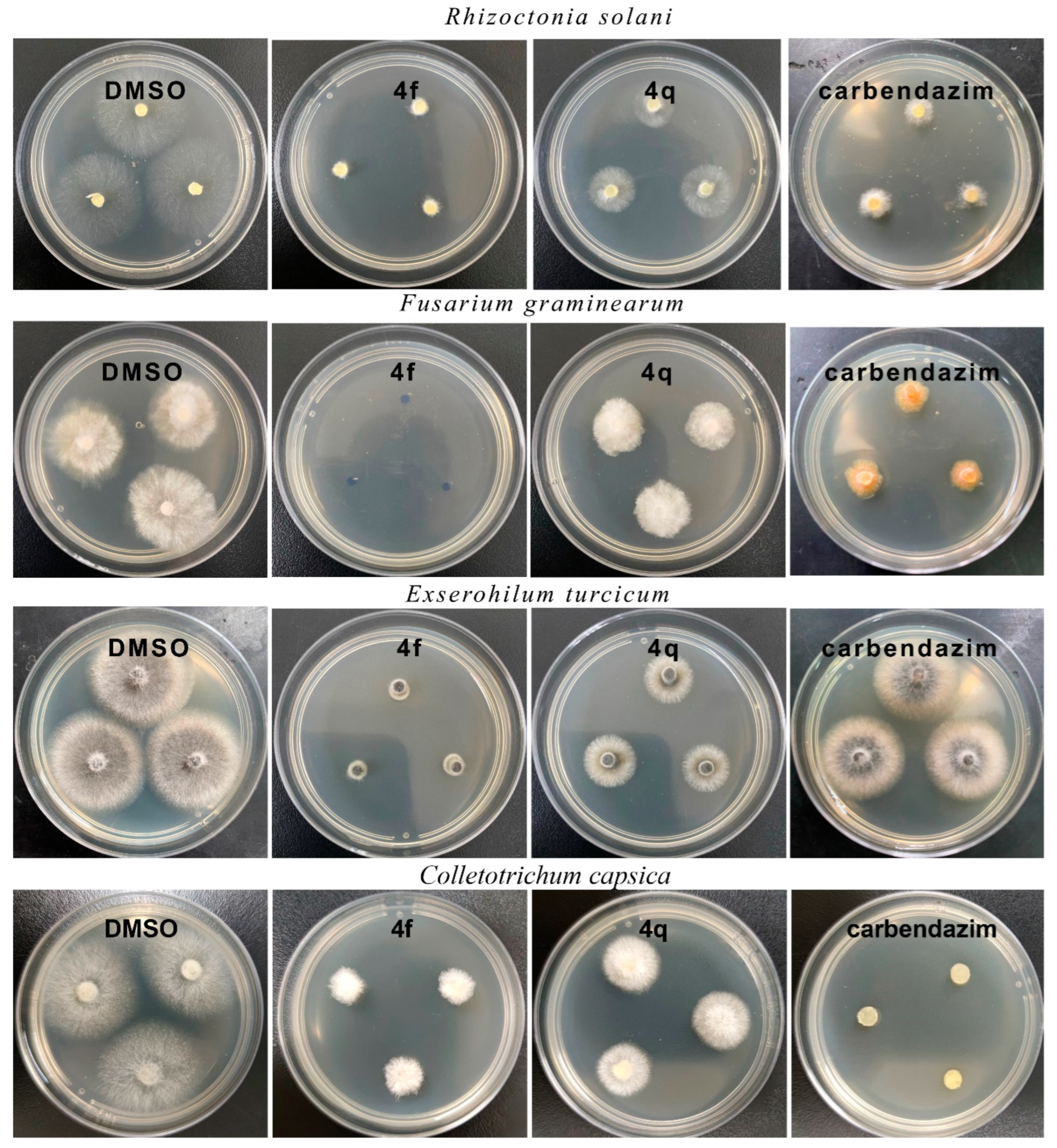 Molecules 30 01851 g002
