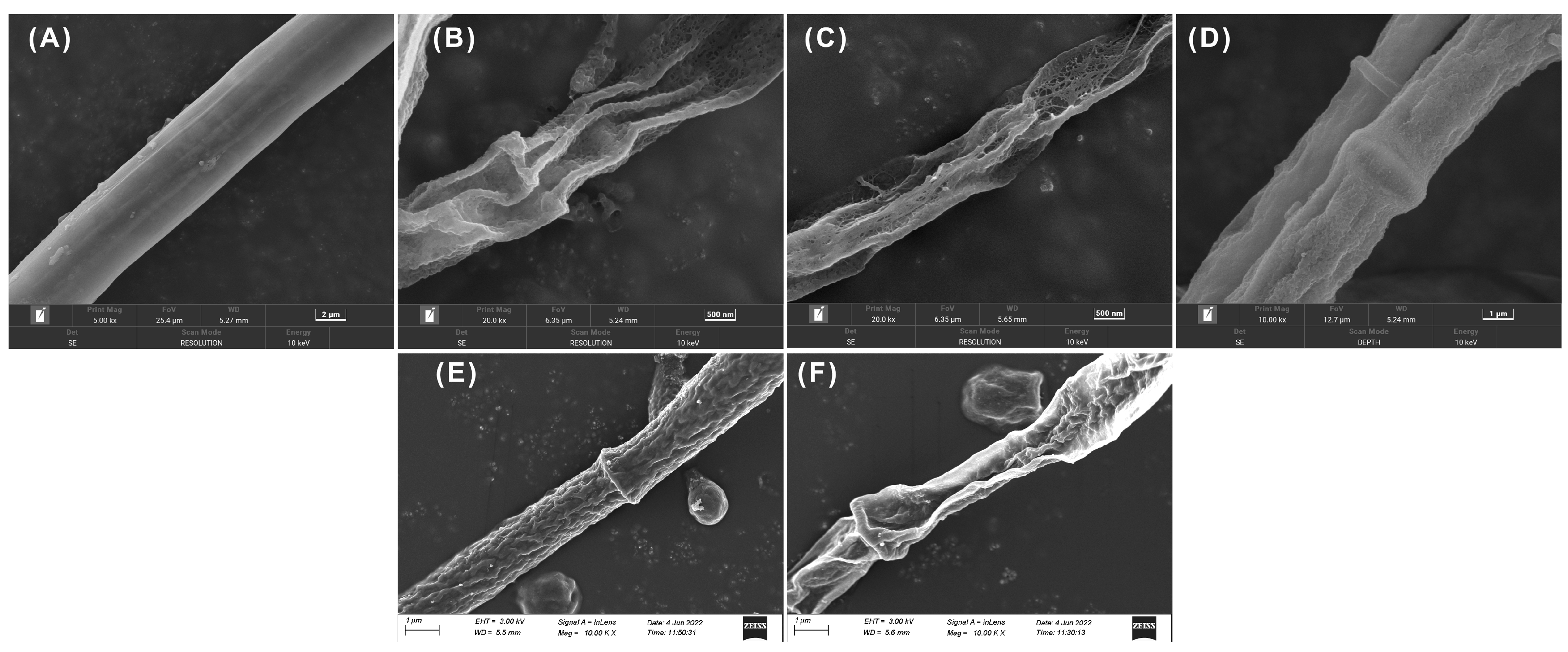 Molecules 30 01851 g003