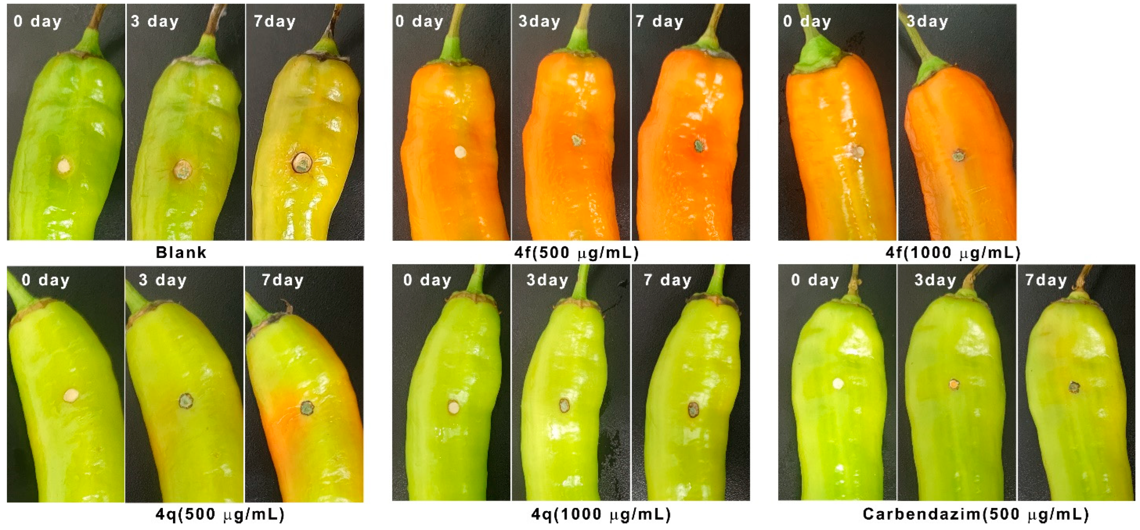 Molecules 30 01851 g004