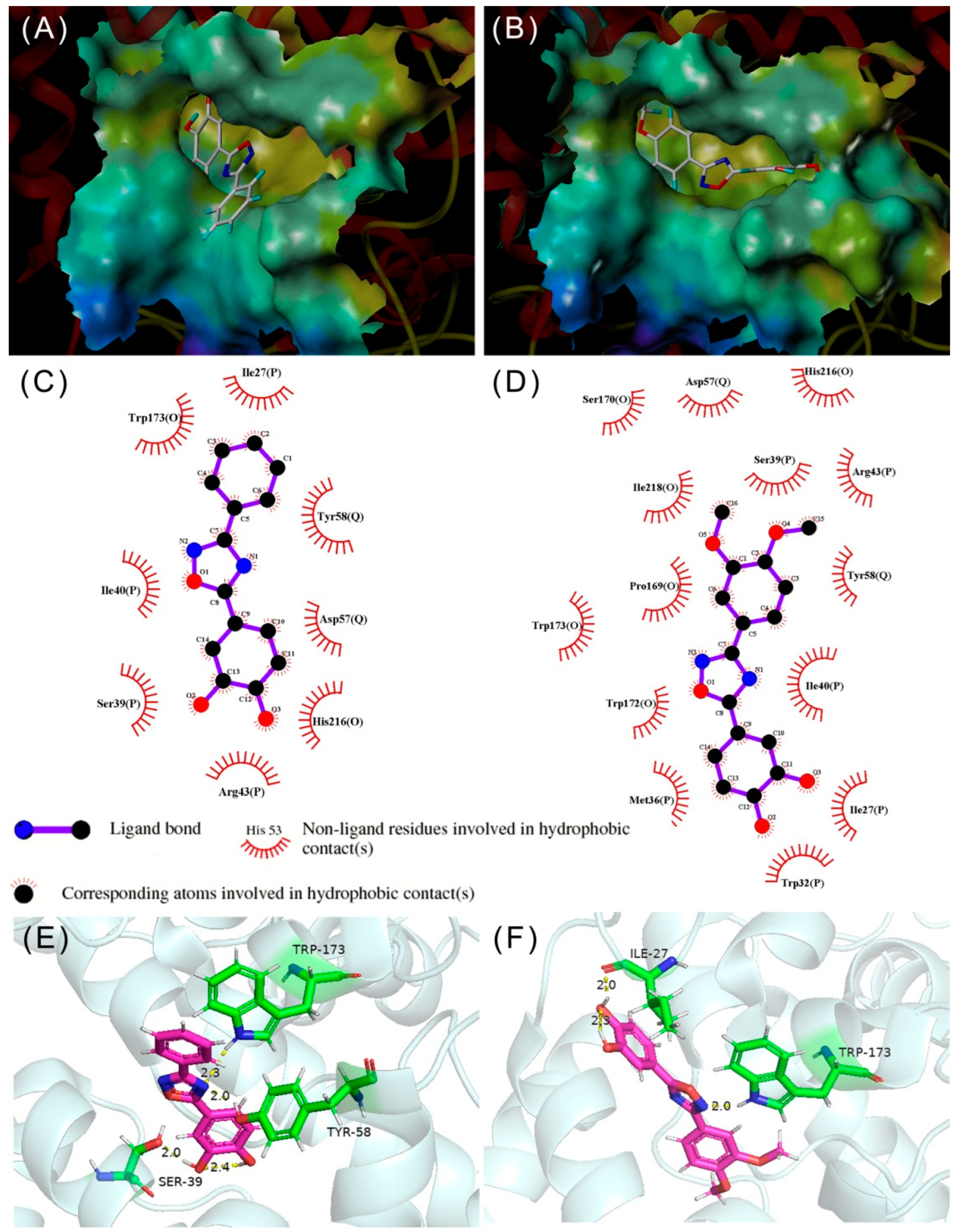 Molecules 30 01851 g005