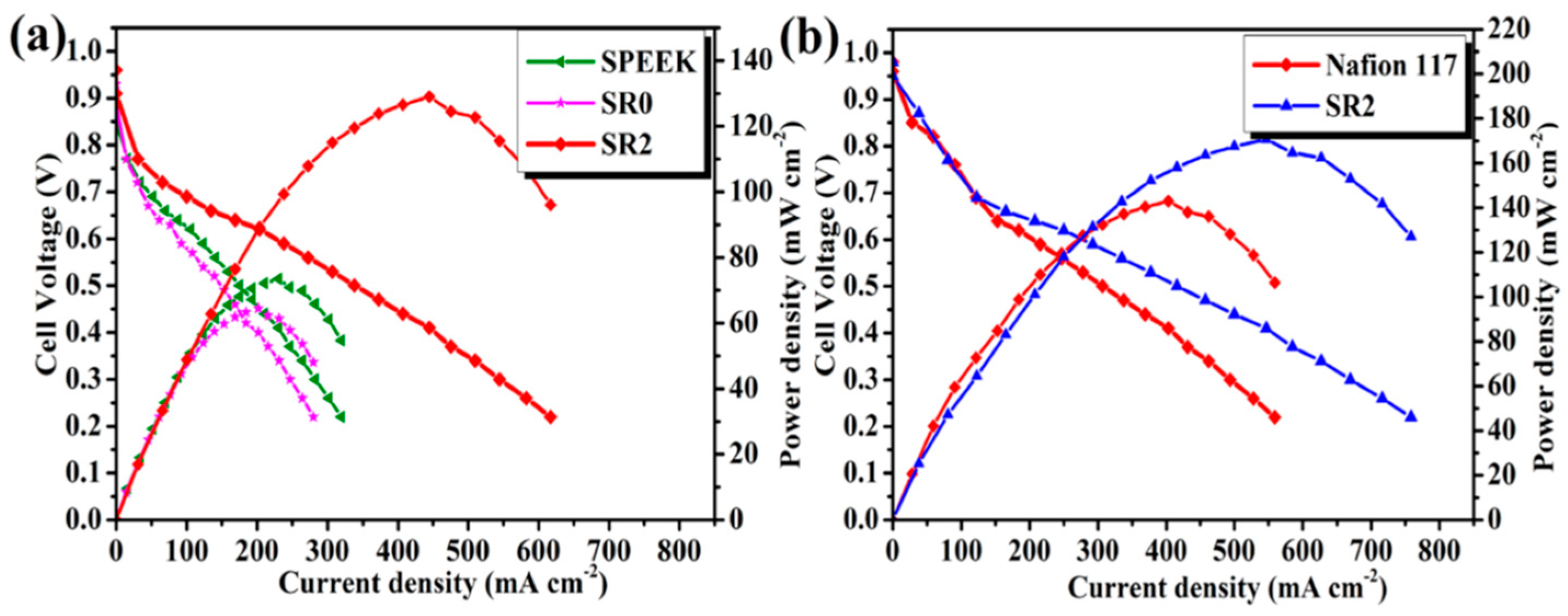 Molecules 30 01852 g011