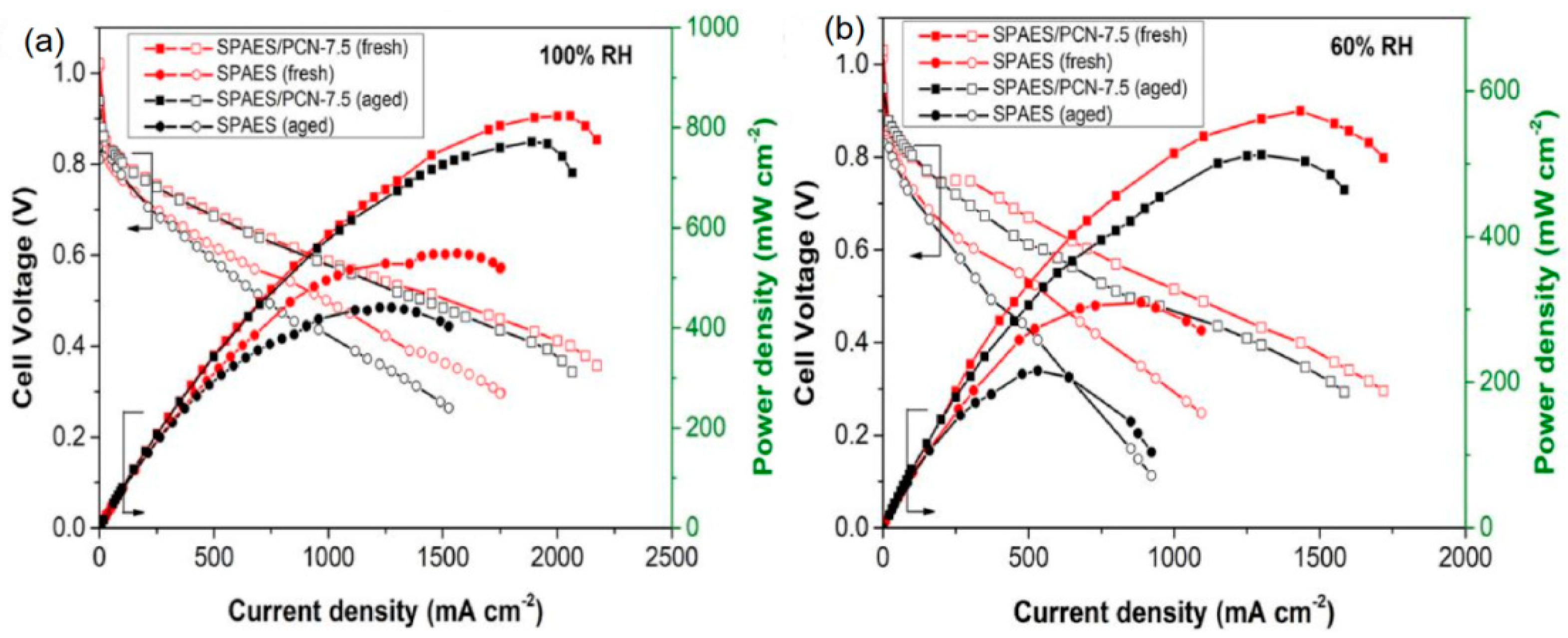 Molecules 30 01852 g012