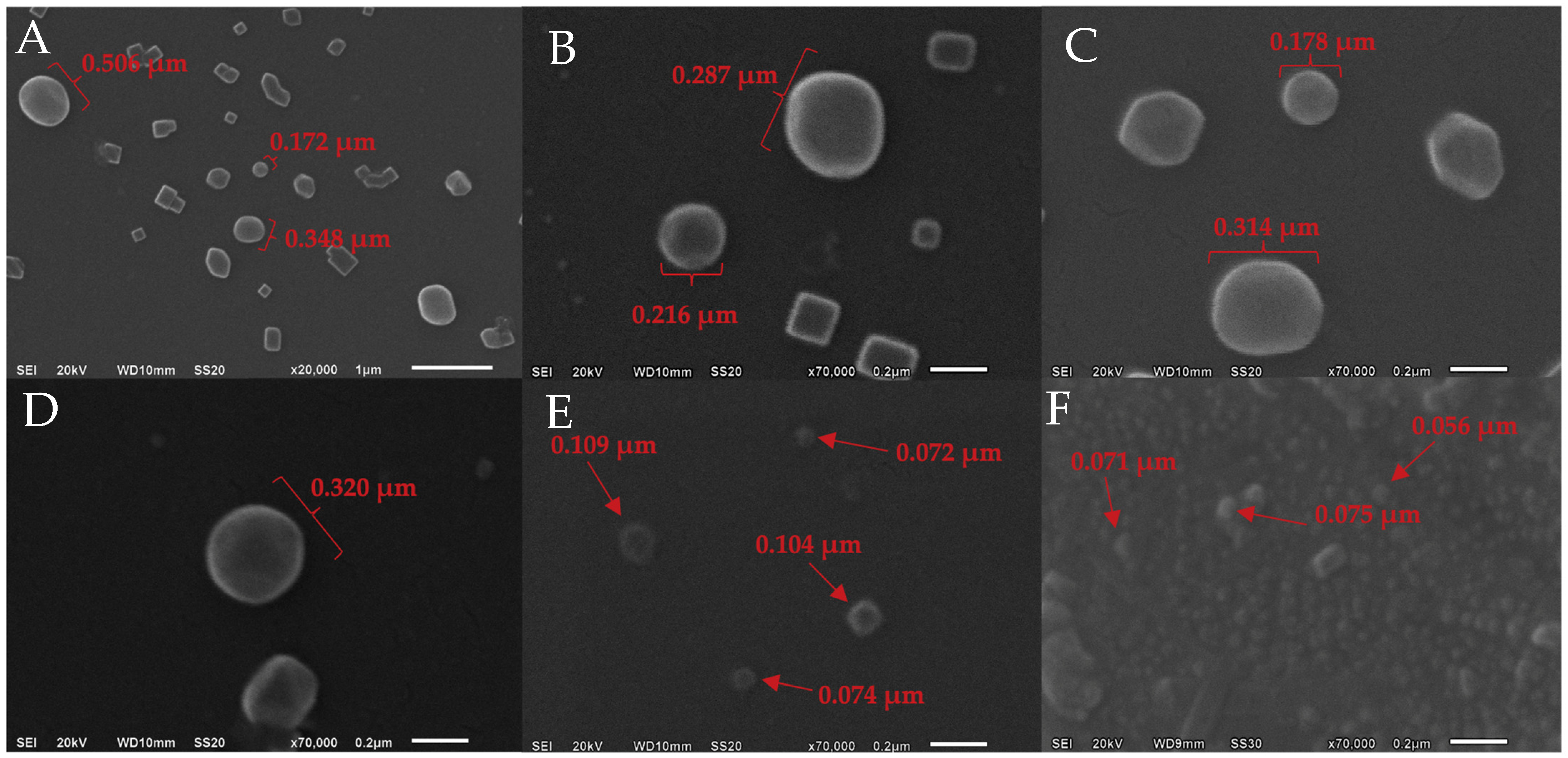 Molecules 30 01854 g001