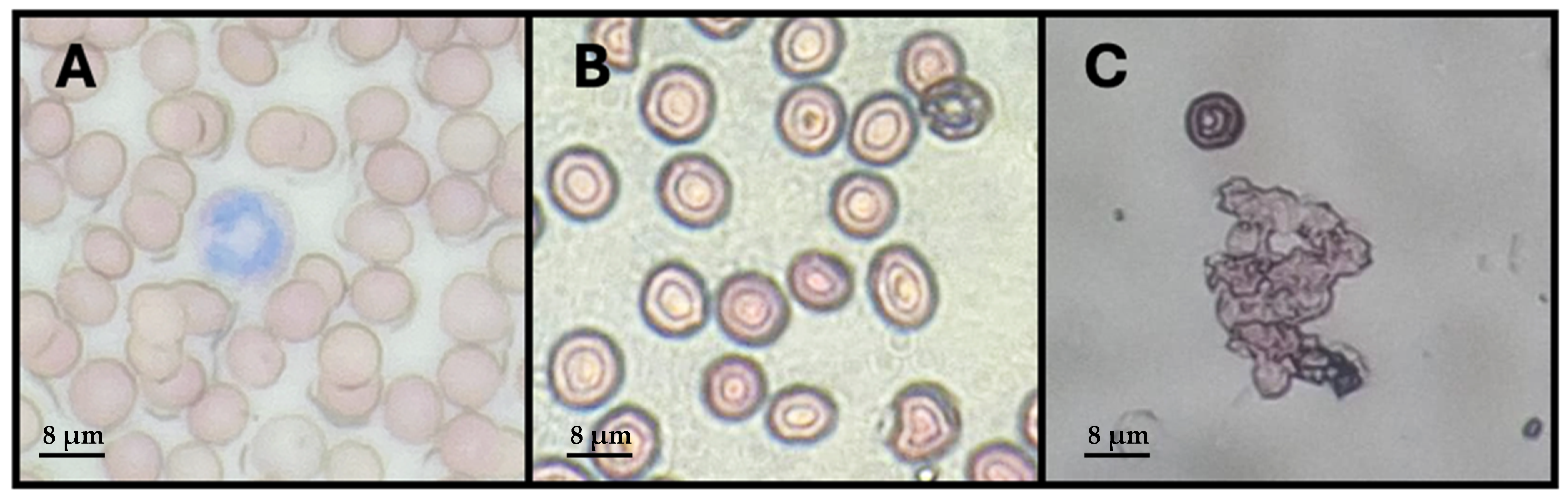 Molecules 30 01854 g003