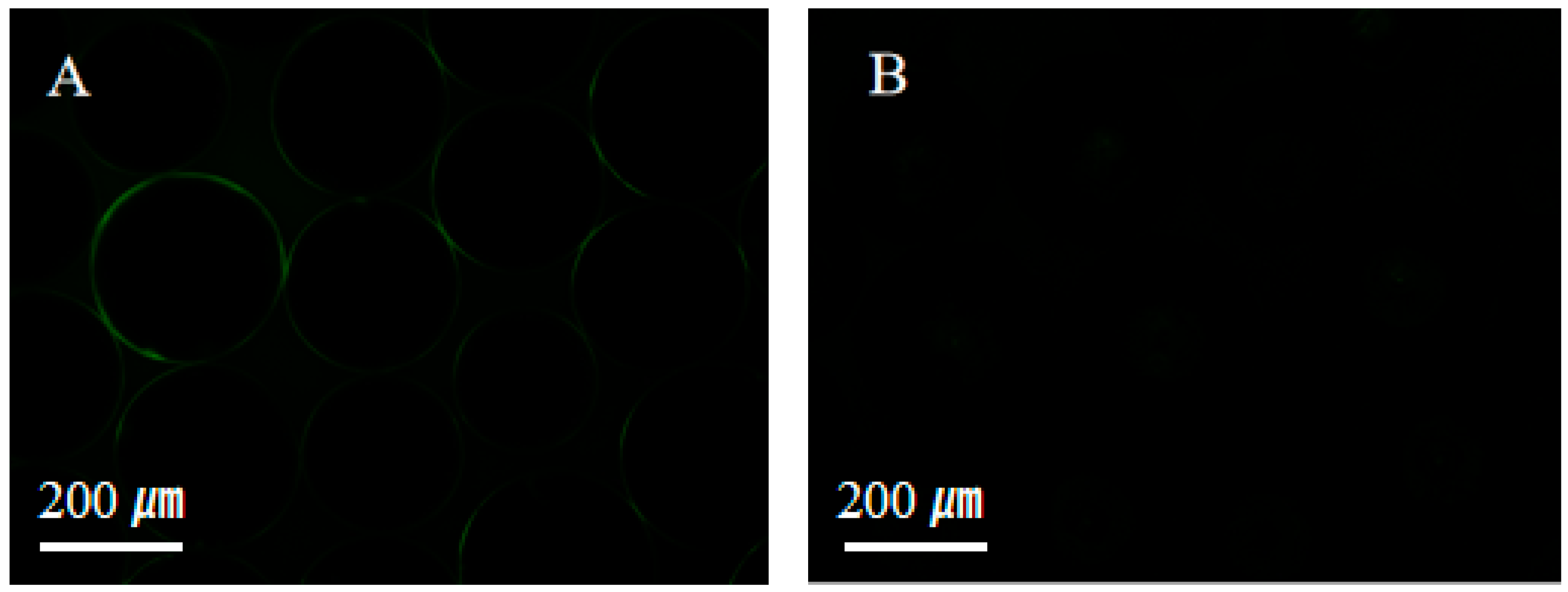 Molecules 30 01857 g008